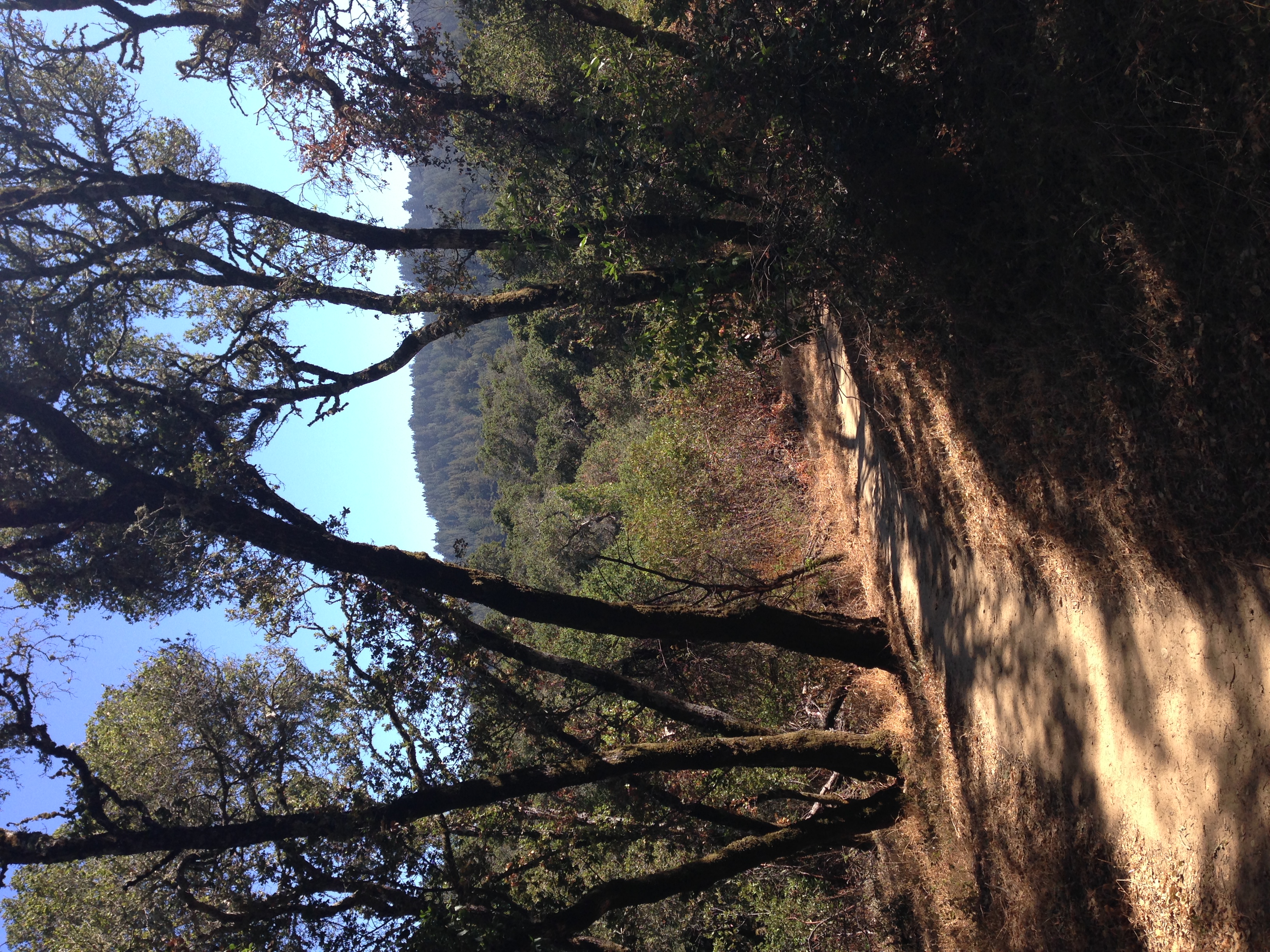 Woodside, California
