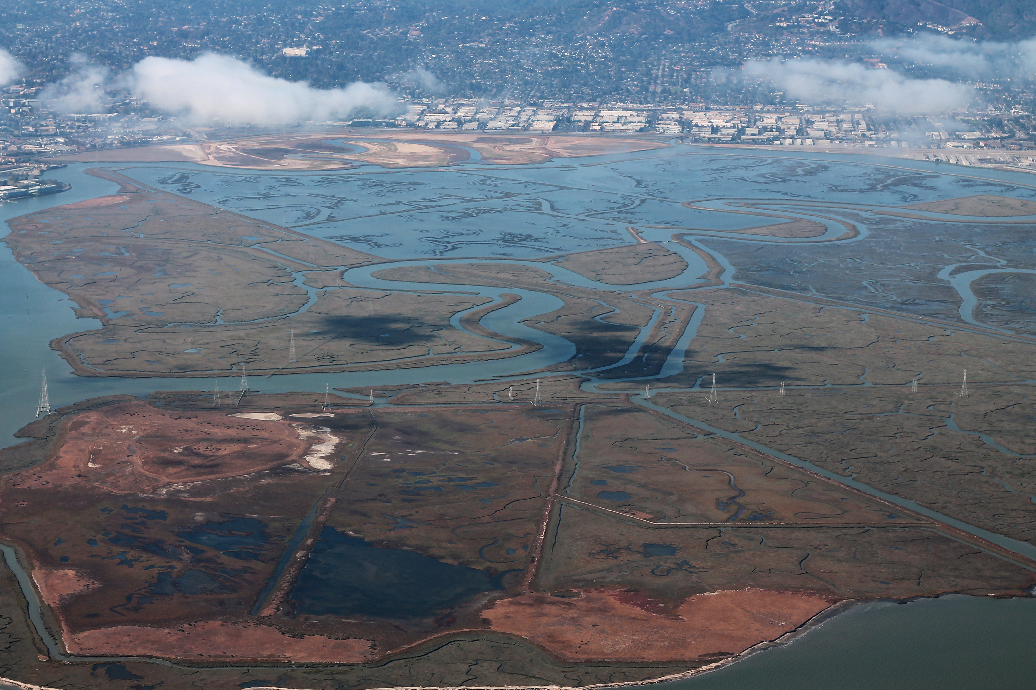 Bair Island State Marine Park (49811217791).jpg