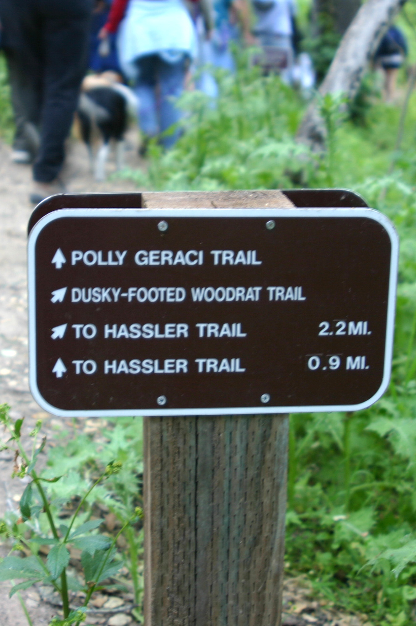 Trail Sign in w:Pulgas Ridge Open Space Preserve - San Mateo County, California.