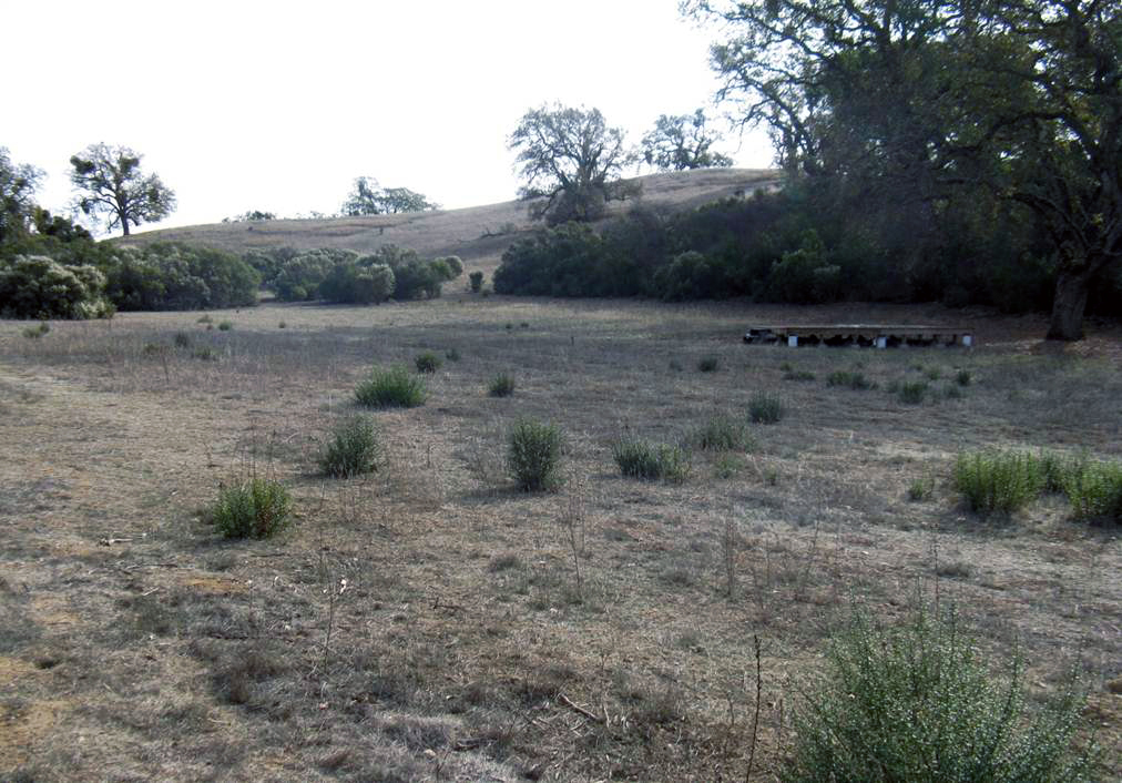 Blue Oak Ranch Blue Oak Ranch Reserve, east of San Jose; part of the UC Natural Reserve System