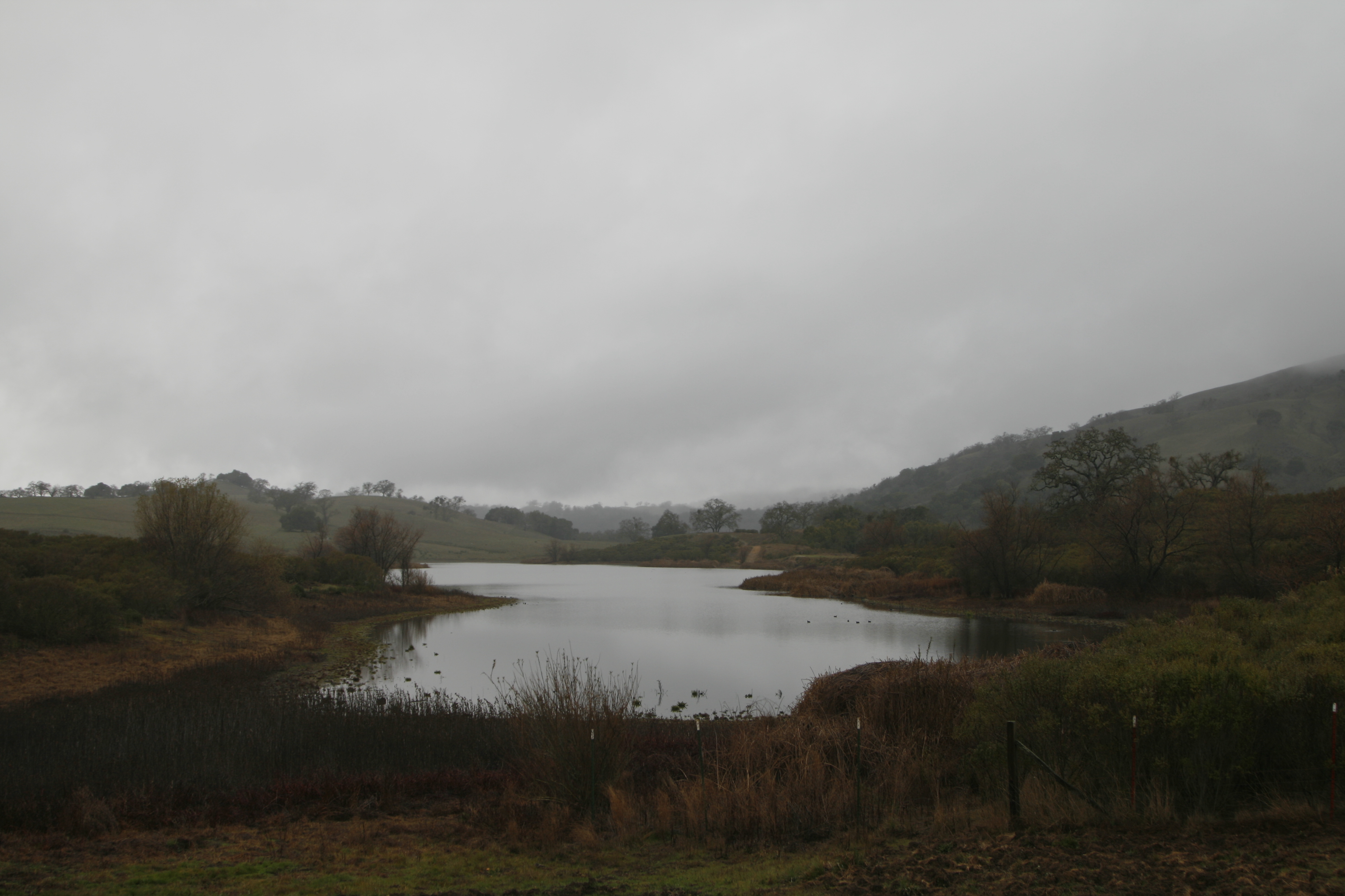 Joseph D. Grant Park, Grant Lake mid winter