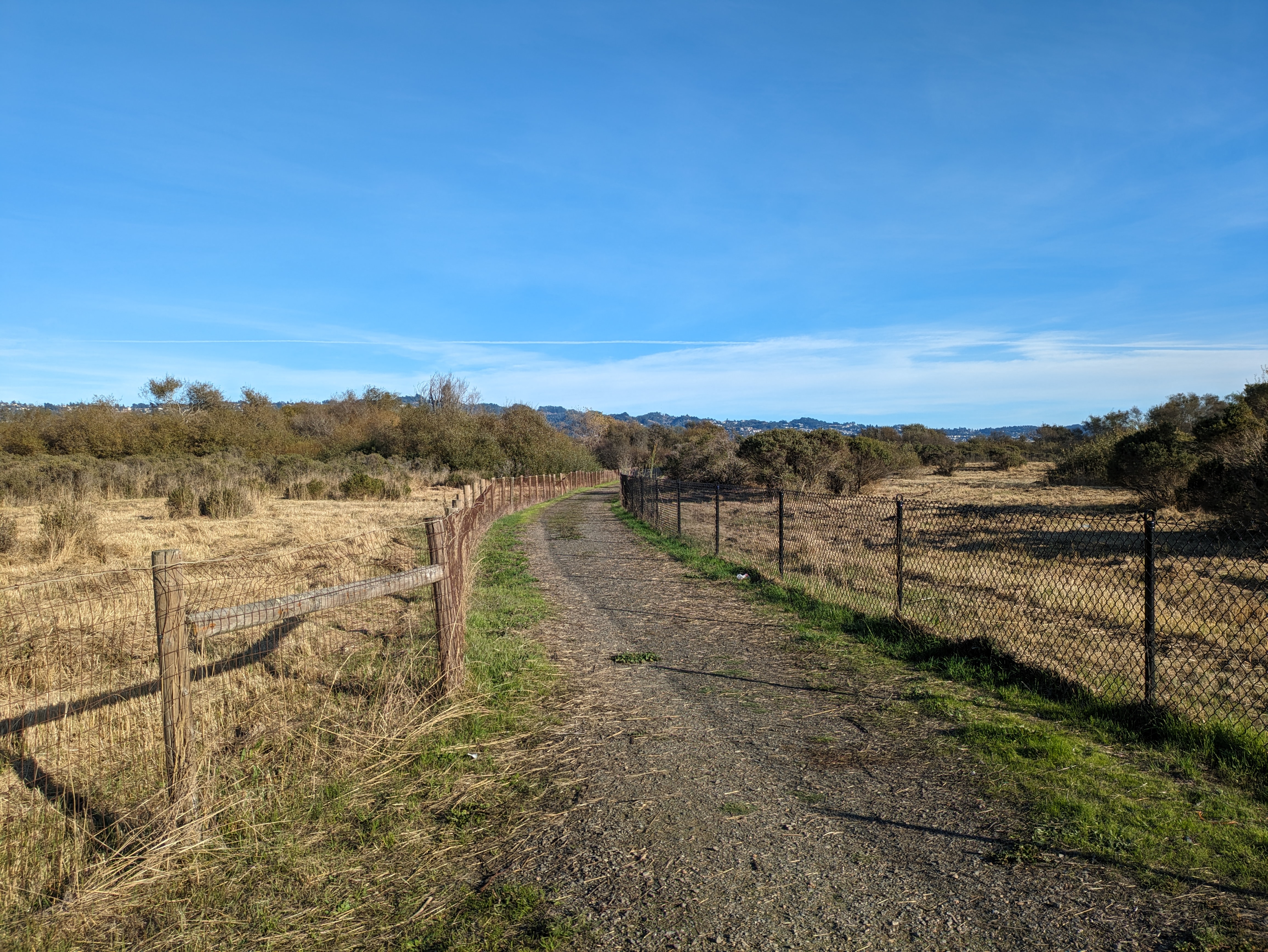 McLaughlin Eastshore State Park in Berkeley, California, United States.
