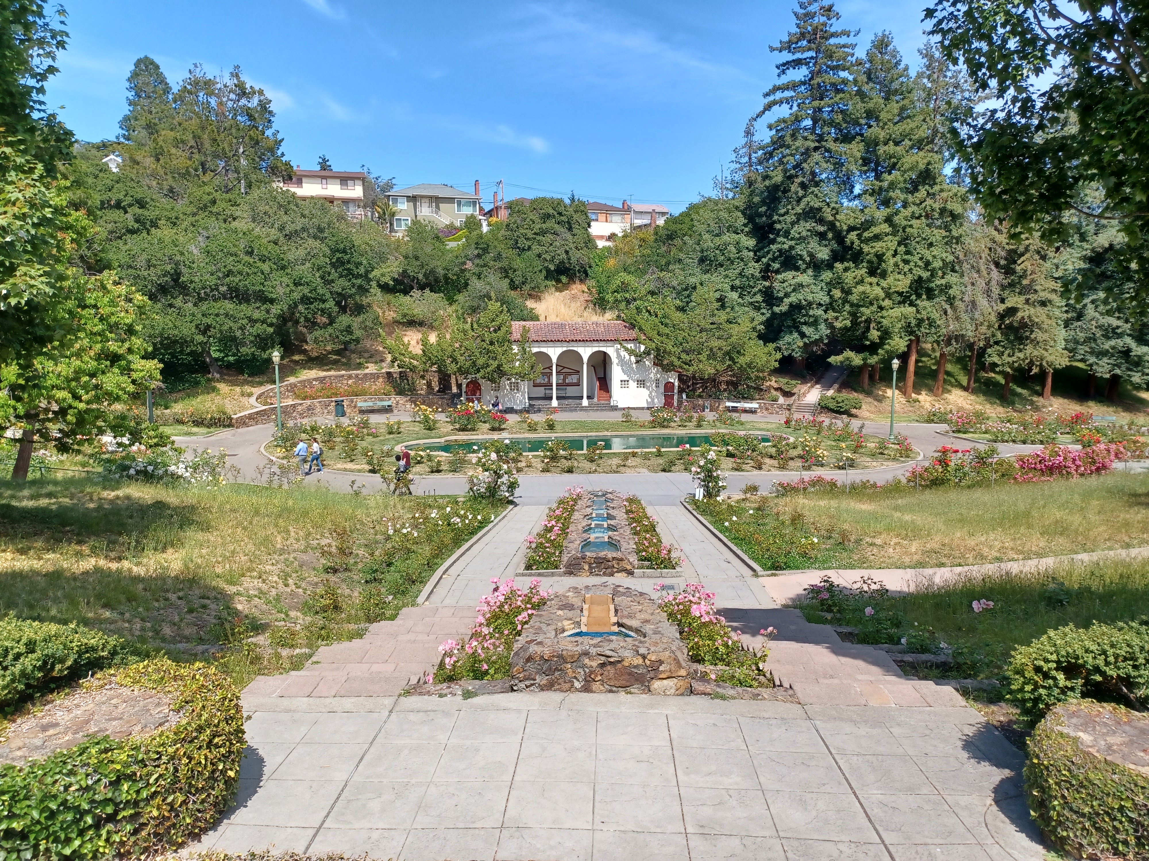 Morcom Rose Garden in Oakland, California, United States.