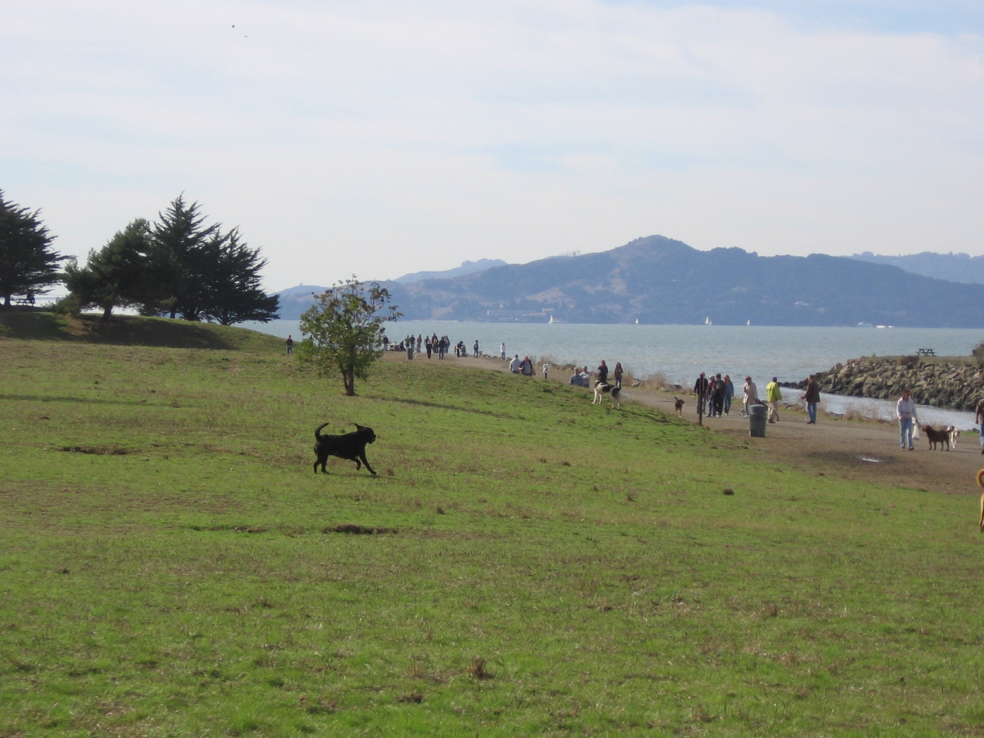 A picture taken of Point Isabel California in November 2006.  I am the author.