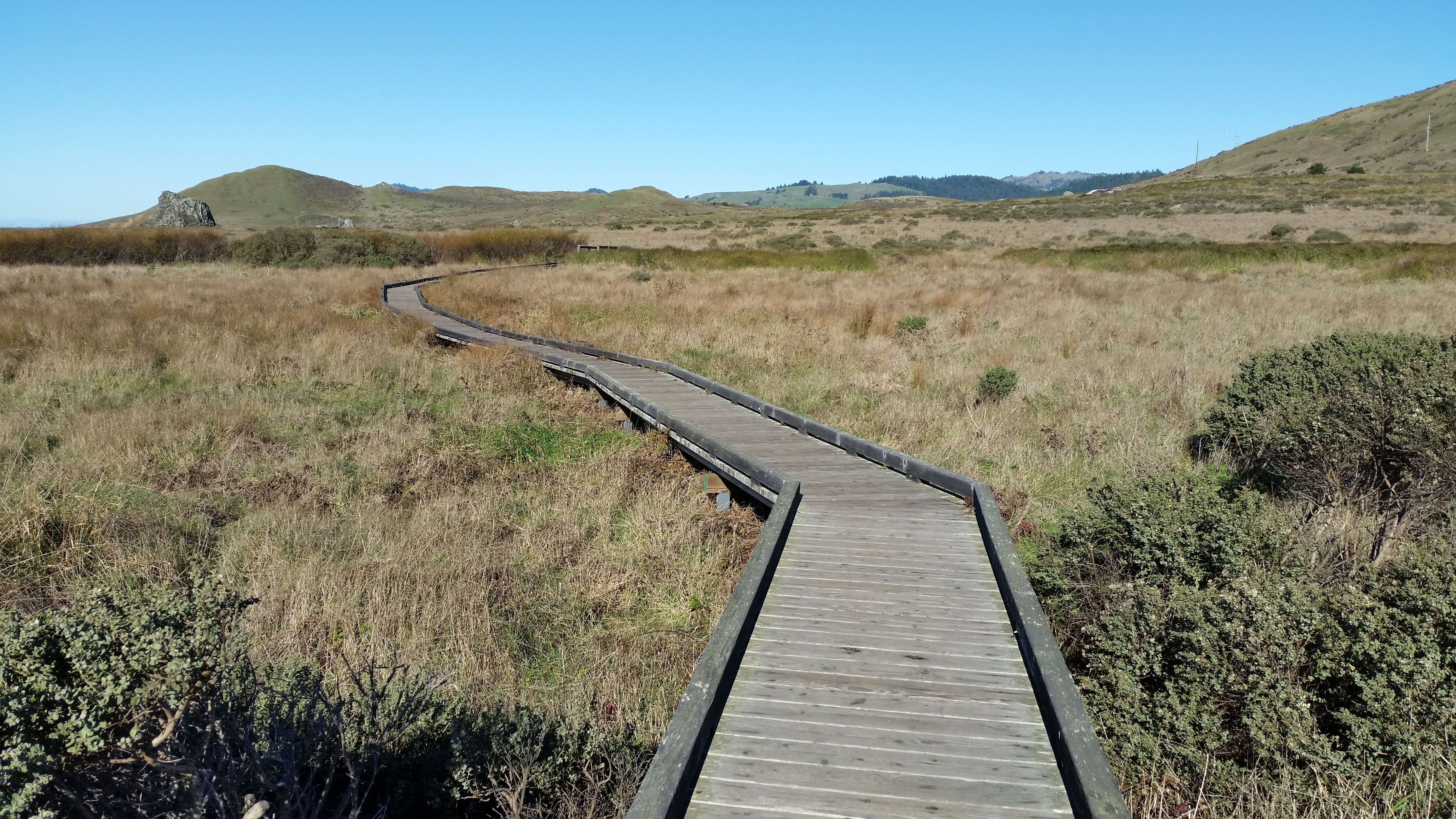 This view is taken looking north along the Kortum Trail through the coastal terrace of the Sonoma Coast State Park with California coast range mountains visible on the horizon.