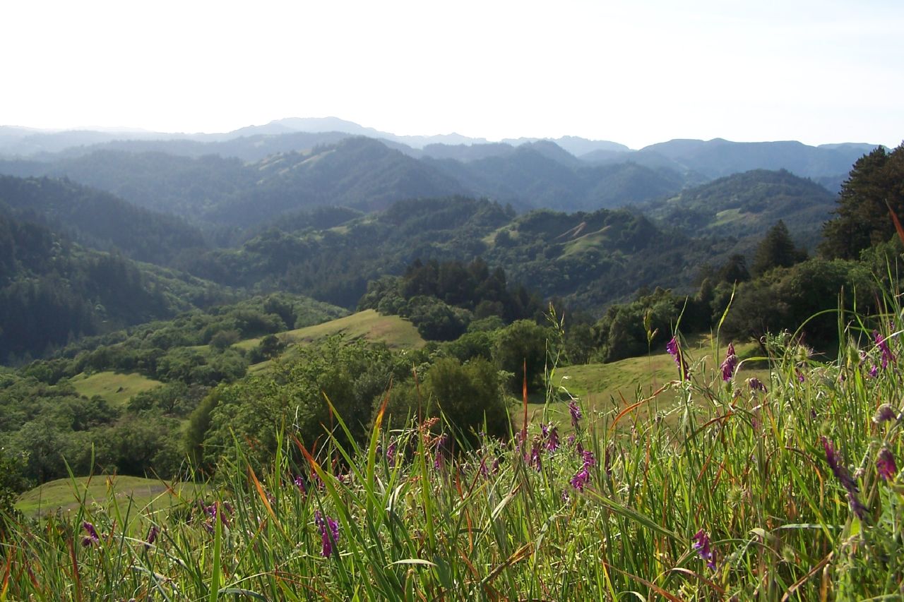 Austin Creek State Recreation Area, Sonoma County, California, USAoverlook at Austin Creek - near Guerneville, Sonoma County, California.