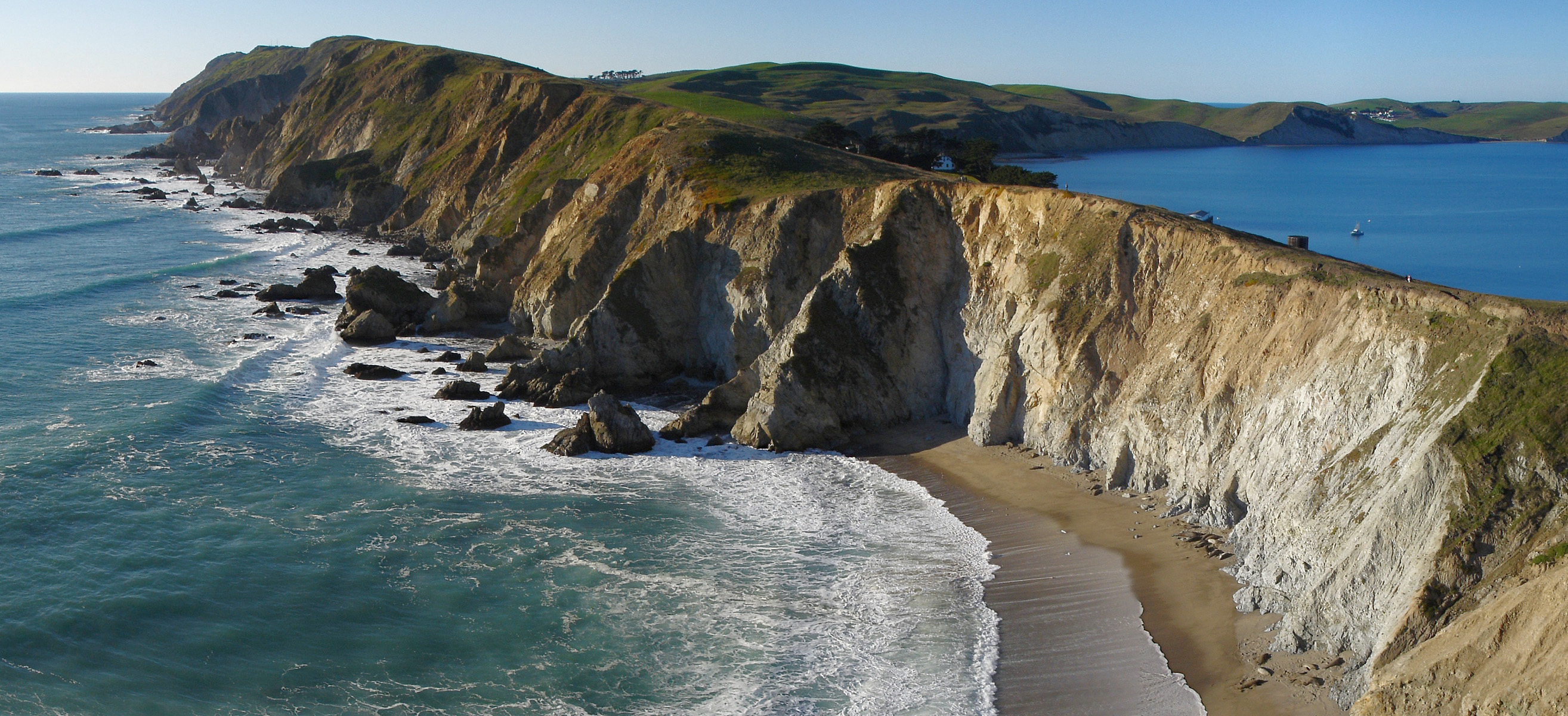 Looking back at the Point Reyes headlands from the Chimney Rock trail in winter.  Elephant seals lie in the sand at the bottom of the cliffs.