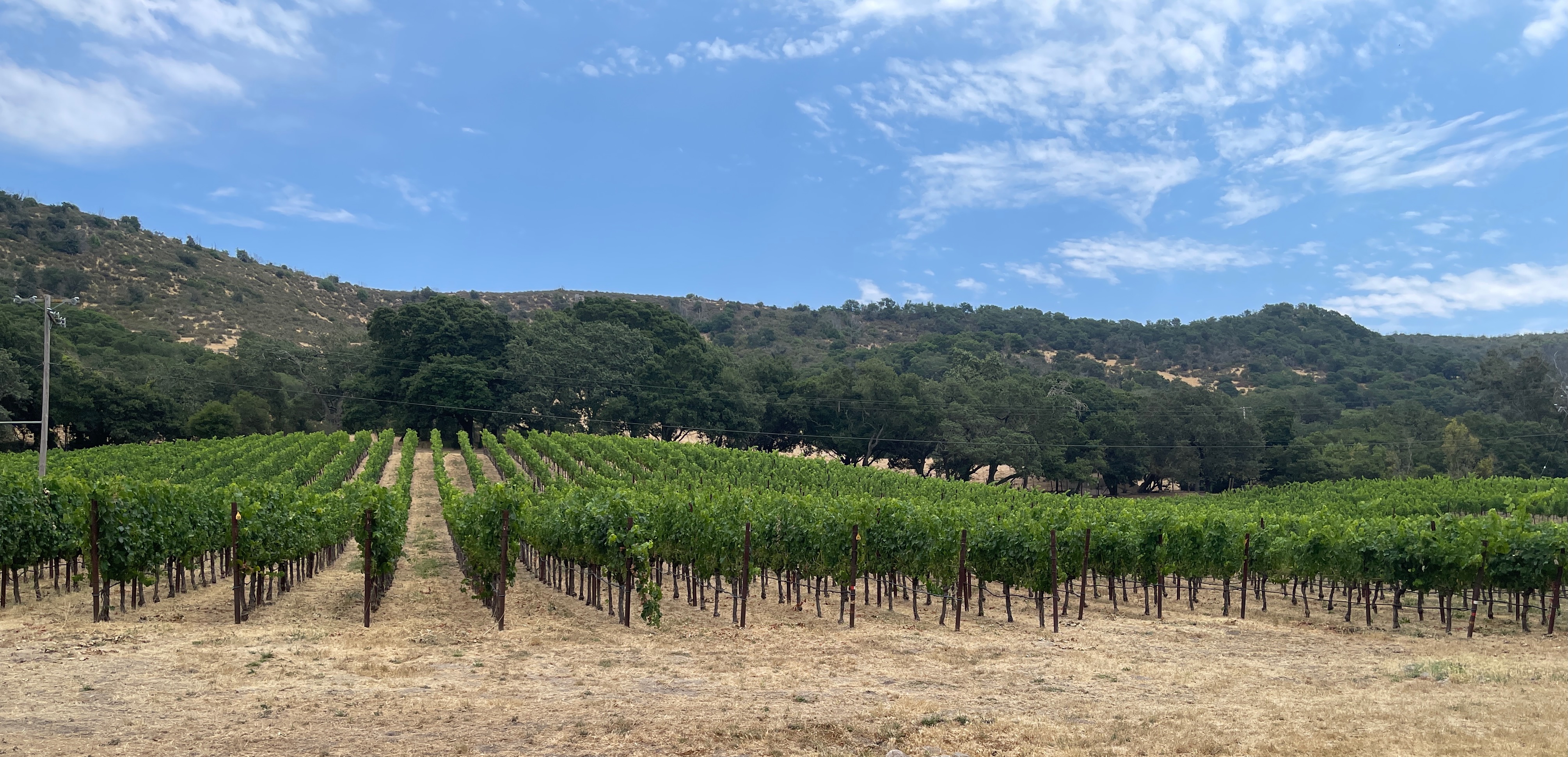 Gundlach Bundschu Winery is a historic winery and an outdoor concert venue located in Sonoma County.
