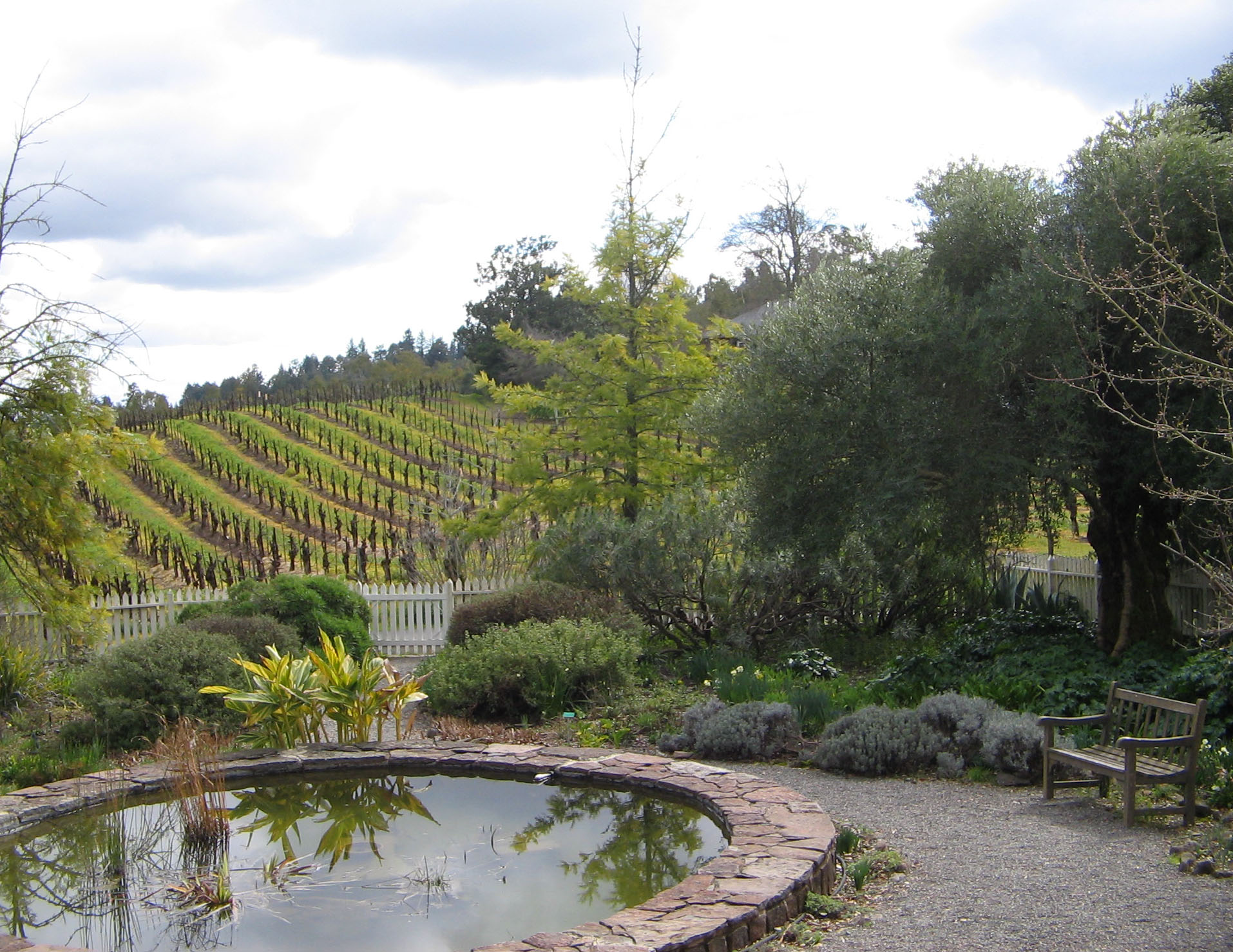 Garden behind Jack London's Cottage.
Jack London State Historic Park, Glen Ellen, California.