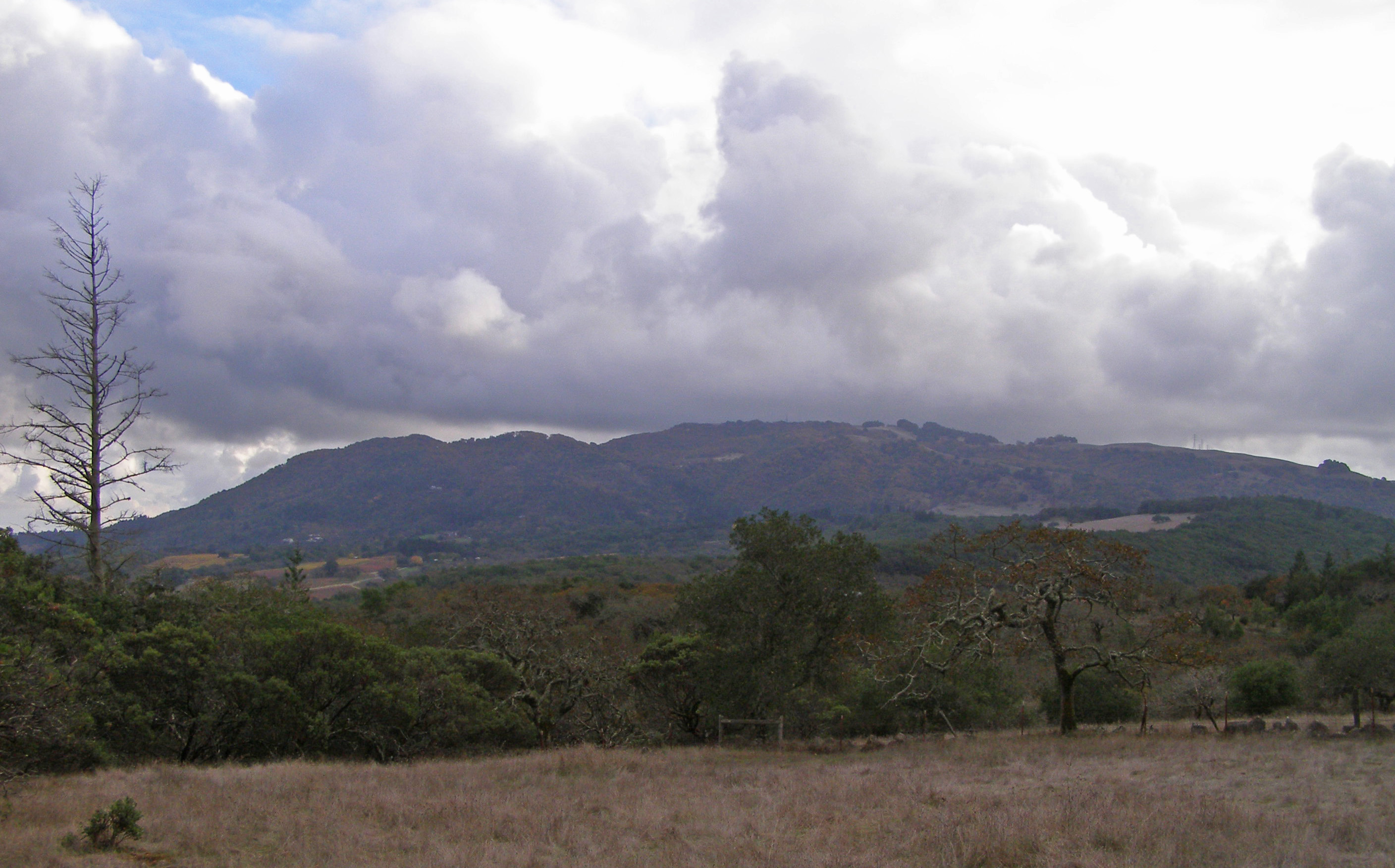 View from Annadel looking toward w:Sonoma Mountain, California.