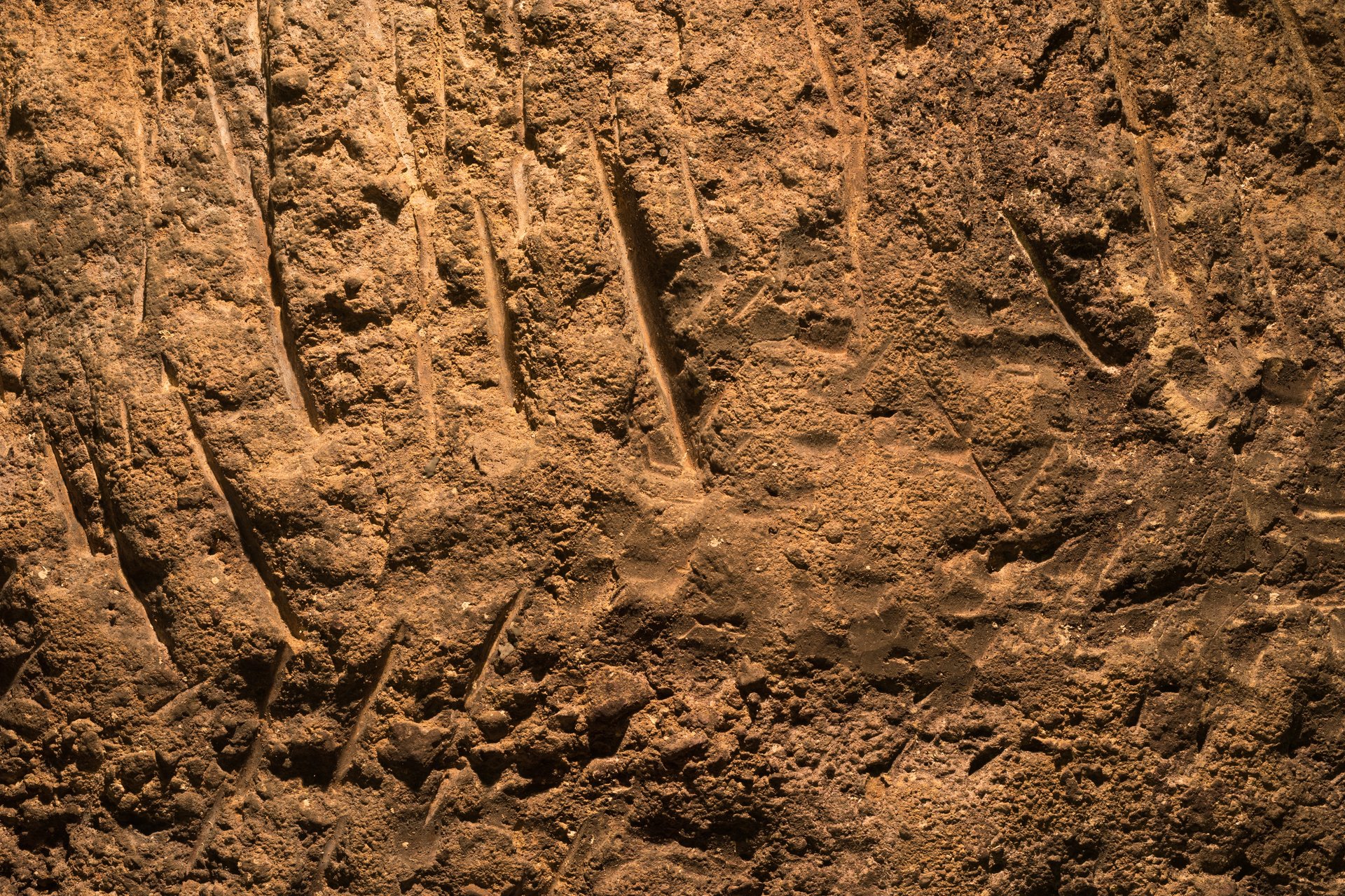 Pick marks created by Chinese workers while building the wine cellar of Schramsberg Vineyards, Napa Valley, California, in the 19th century