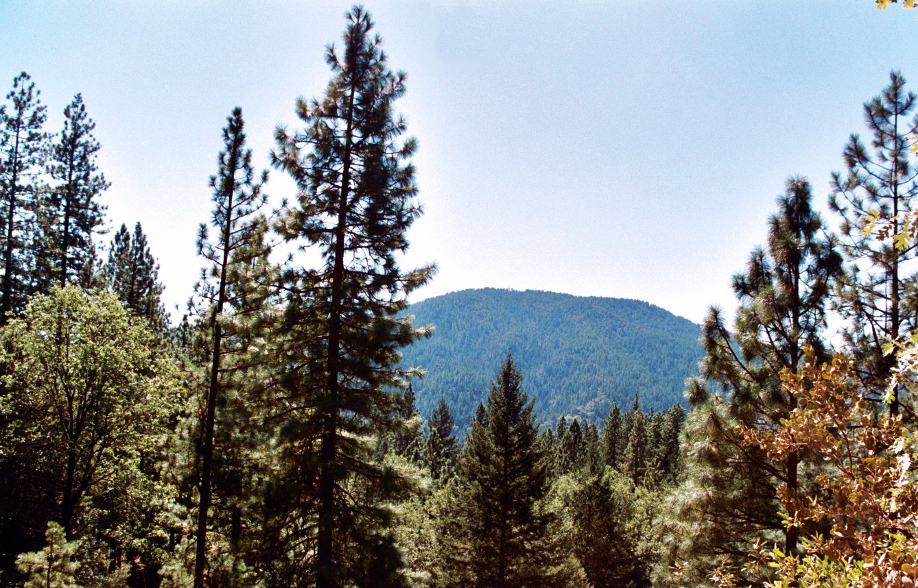 Photo of Cobb Mtn, taken from Boggs State Forest, California
