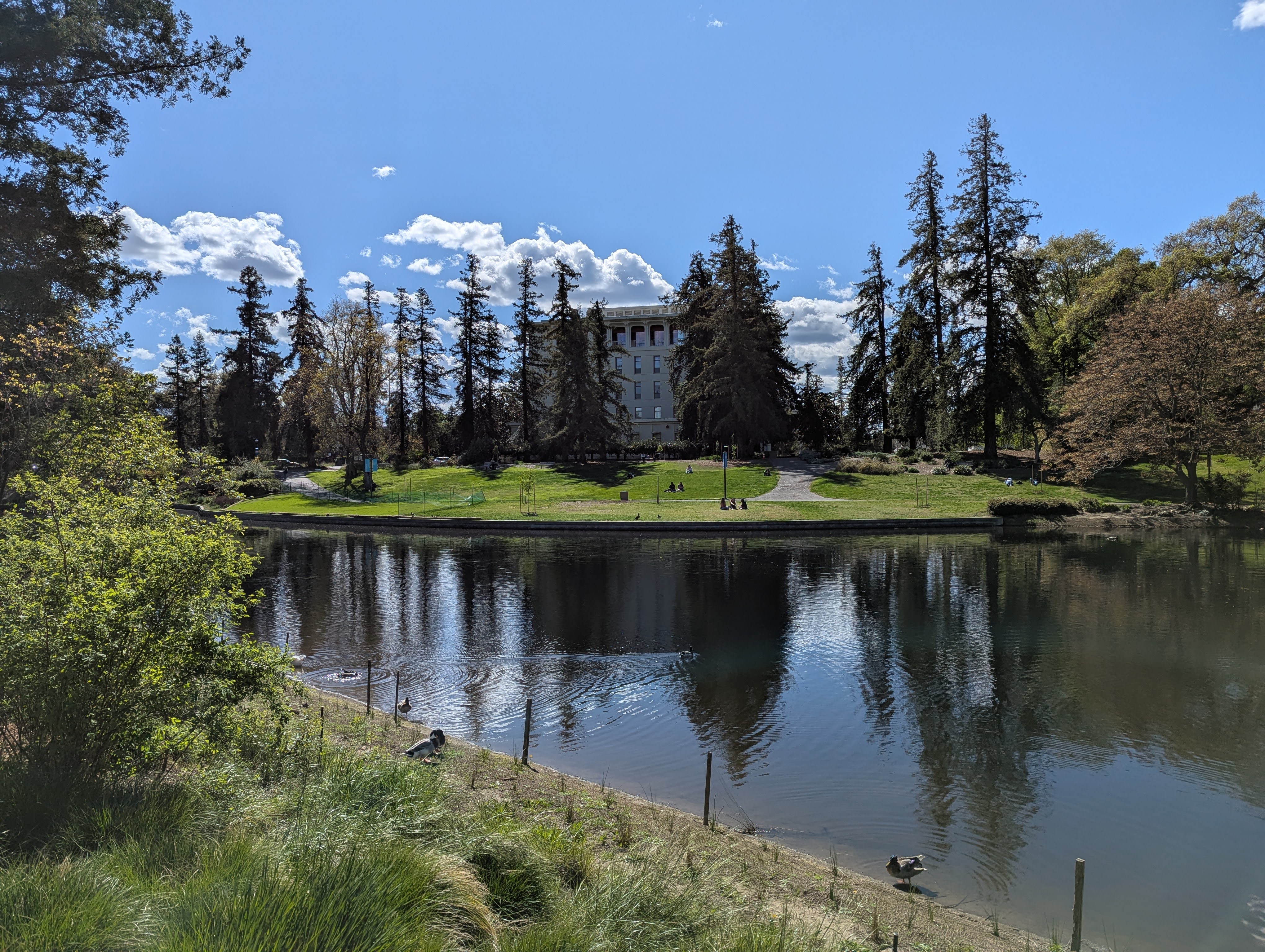 This is a view of Mrak Hall, the main campus administrative building at UC Davis, across Lake Spafford in the Arboretum. The picture was taken in April of 2025, following the completion of the "Waterway Flood Protection and Habitat Enhancement Project" in late 2024.