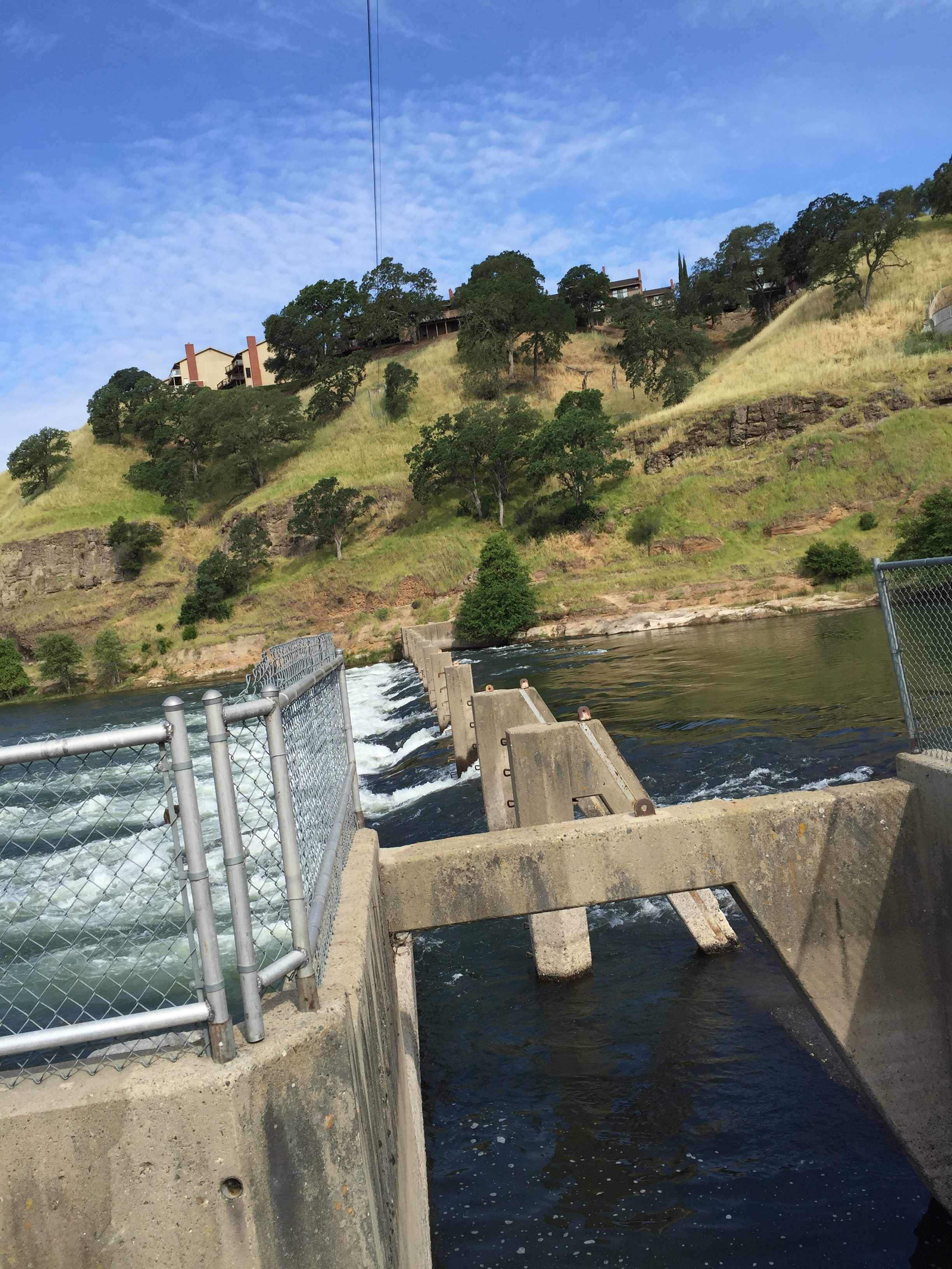 Figure3. These structures in the middle of the river are in place to have the fish during each of the seasonal runs move up the salmon ladder into the hatchery.