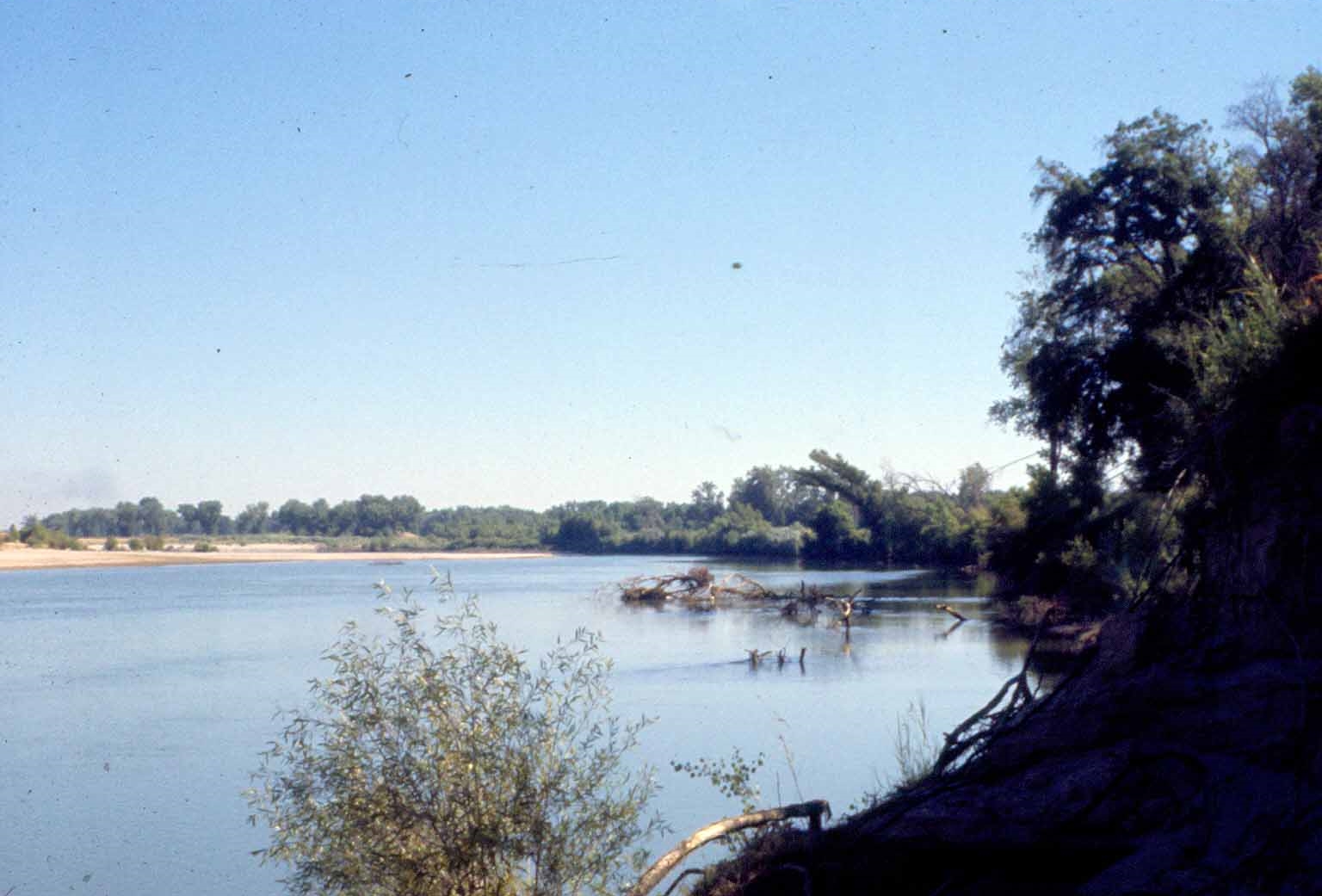 Feather River upstream from Bear River May 1962. CDFW file photo.