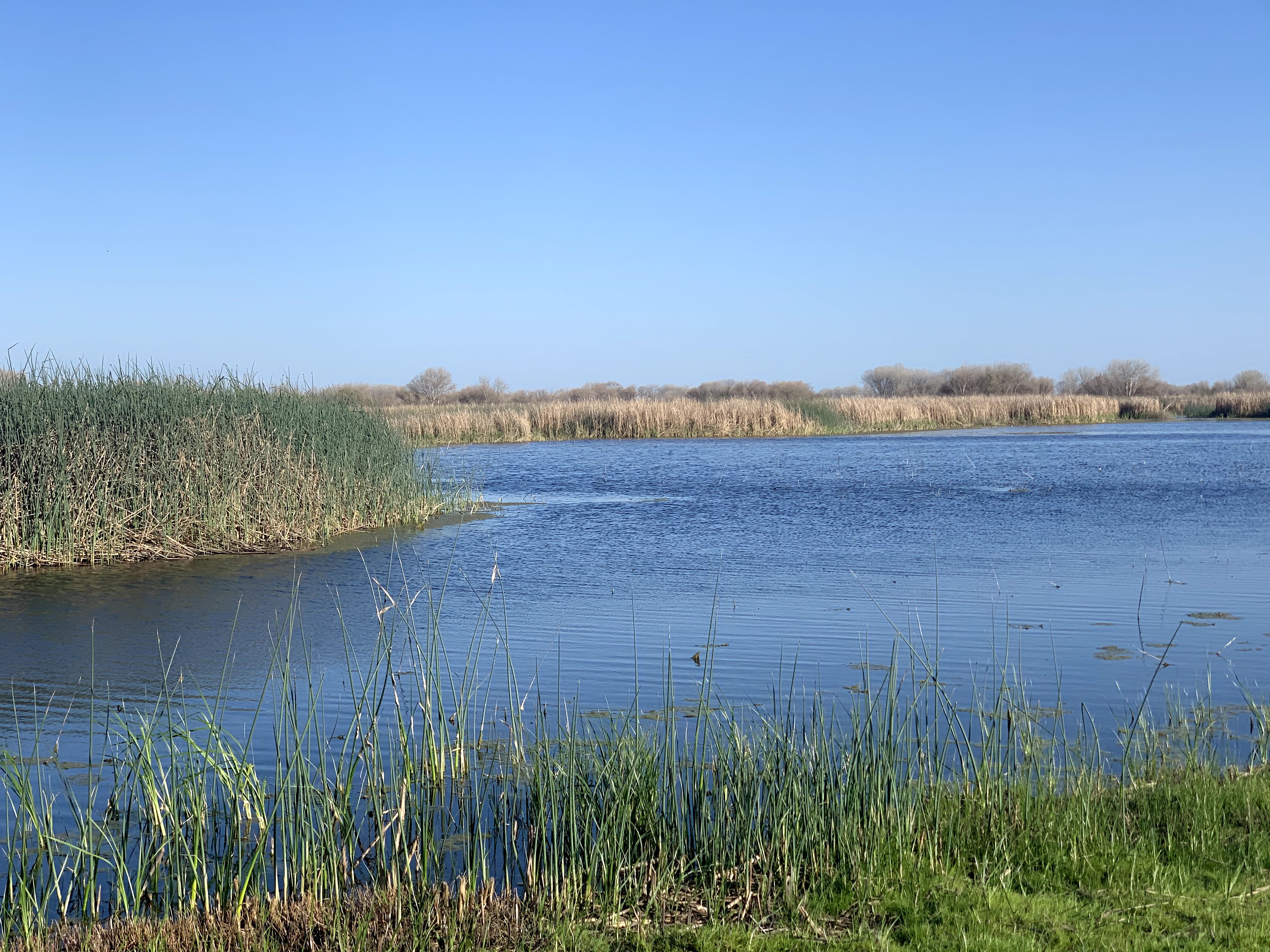 San Luis National Wildlife Refuge
