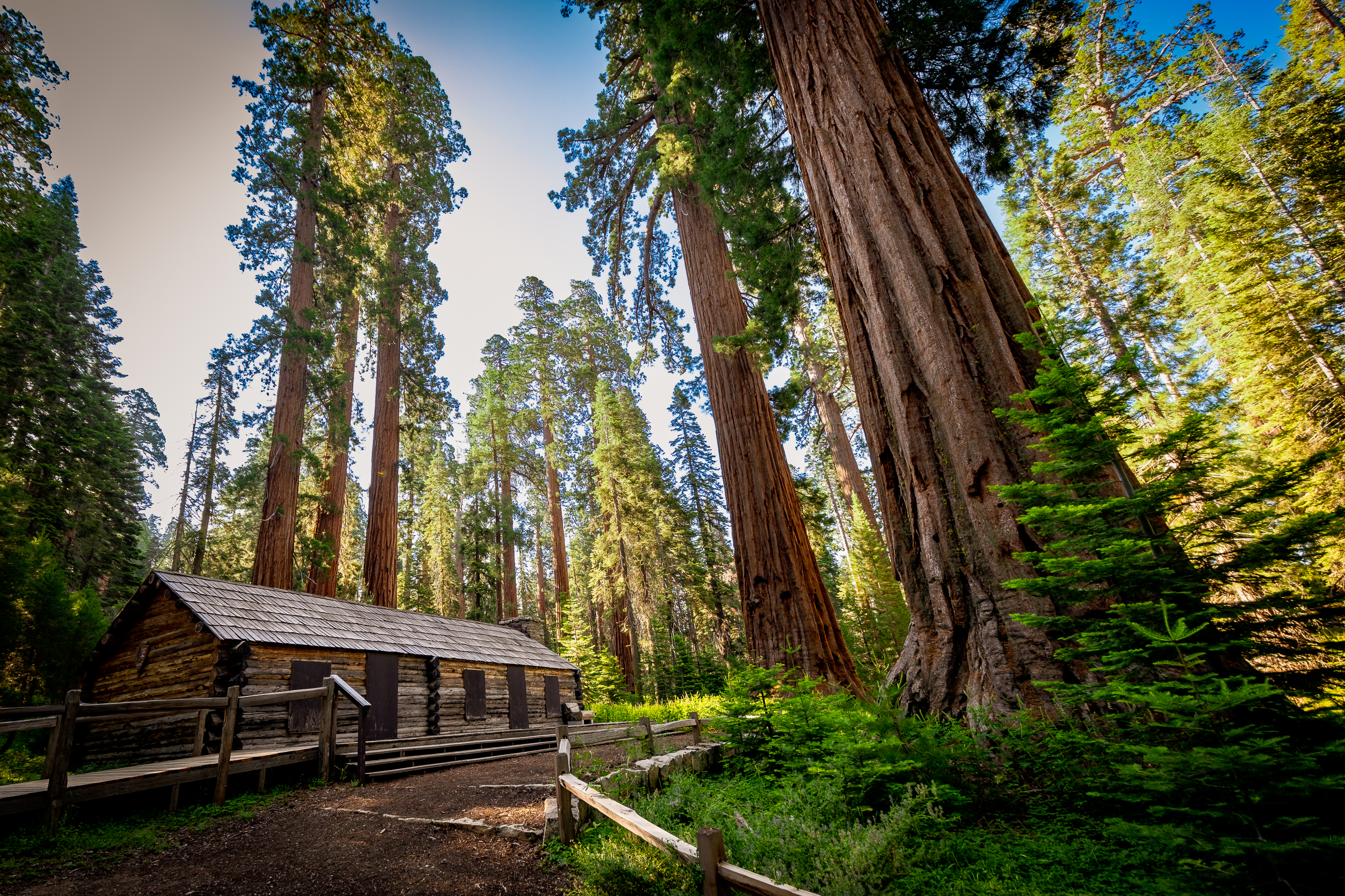The Mariposa Grove Cabin, nestled between the towering General Sheridan (center) and General Grant (right) in Yosemite National Park.