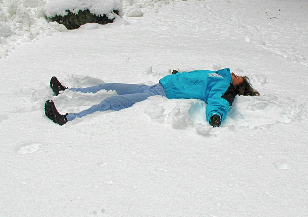 A picture of a skier near the meadow on Glacier Point Road in Yosemite National Park.