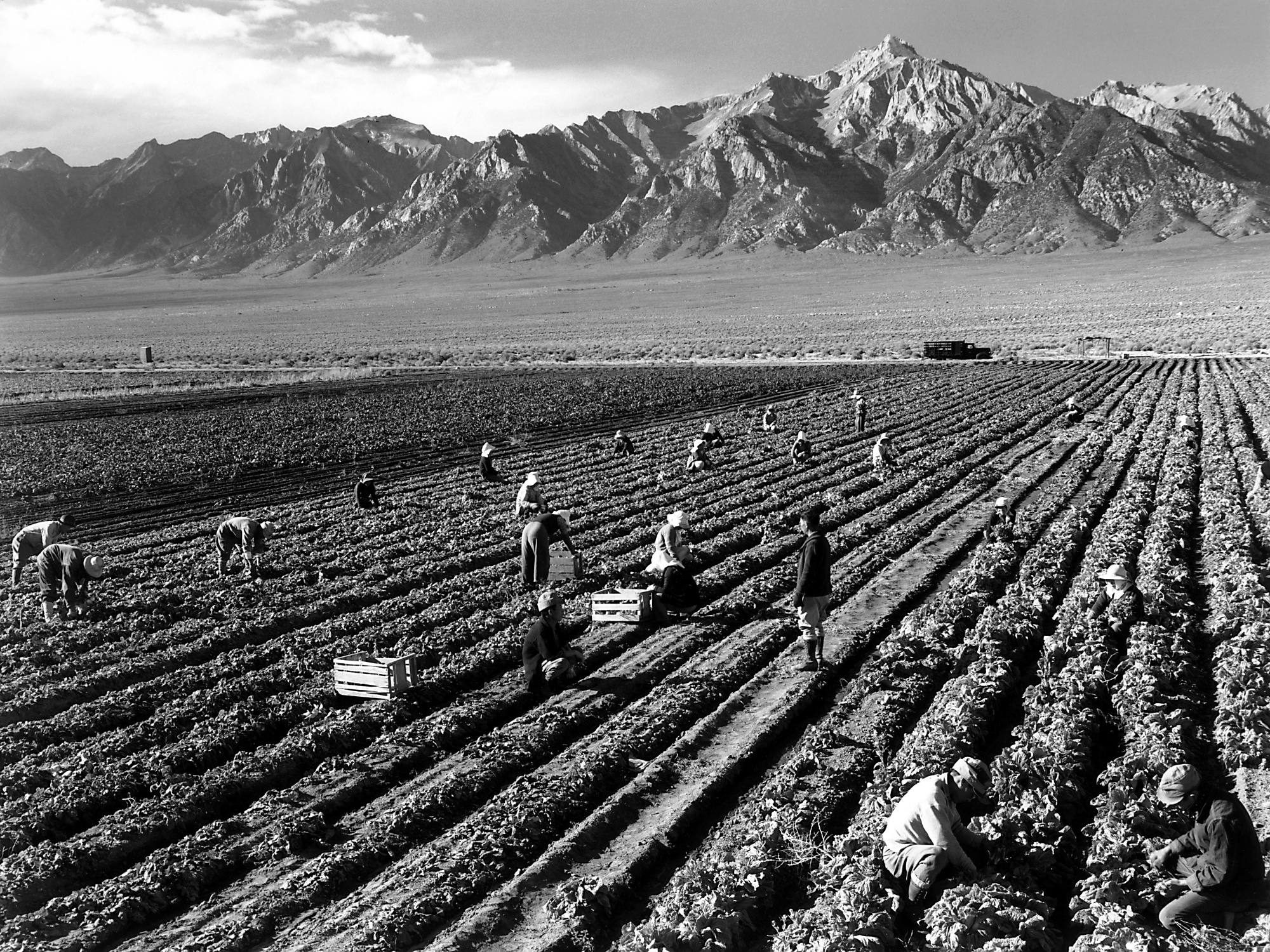 Original caption: Farm, farm workers, Mt. Williamson in background, Manzanar Relocation Center, California.
