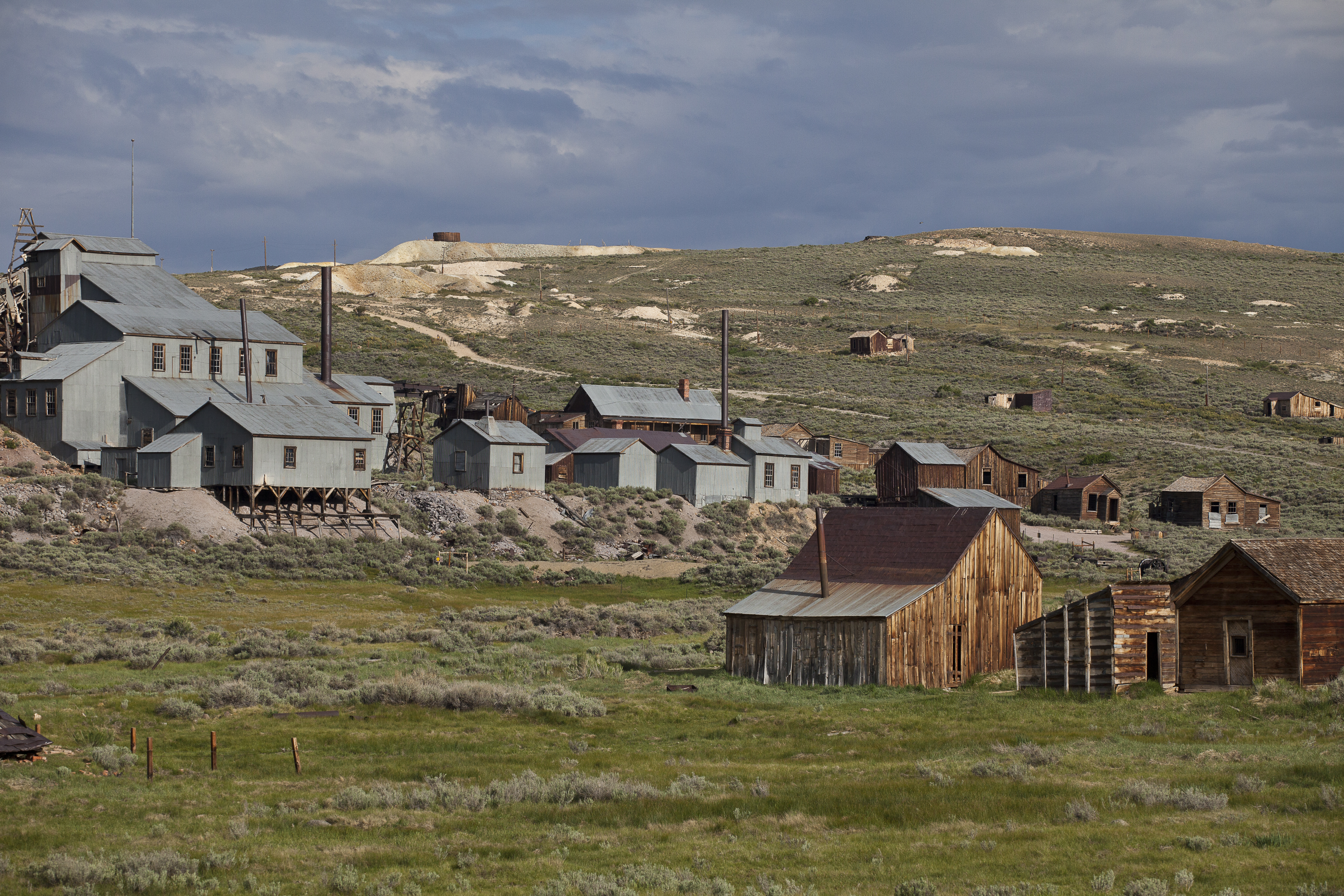 The Bodie Hills region totals 121,500 acres of BLM lands, adjacent to Forest Service and privately owned land. There are three BLM Wilderness Study Areas within the Bodie Hills: Bodie, Bodie Mountain and Mt. Biedeman. 
California’s Eastern Sierra region is a dramatic transition zone between the snow-capped granite spires of the Sierra Nevada and the endless sagebrush covered uplands of the Great Basin. A visit at the right time of year will reward visitors with a diversity of wildflowers. 
Visitors to Bodie Hills can explore the Bodie ghost town and then head out on a wilderness adventure among wildflowers or fall colors, depending on time of year. Wildlife viewers can see antelope, mule deer, and if lucky, get a glimpse of the Greater Sage-grouse. 

Photo by Bob Wick, BLM.