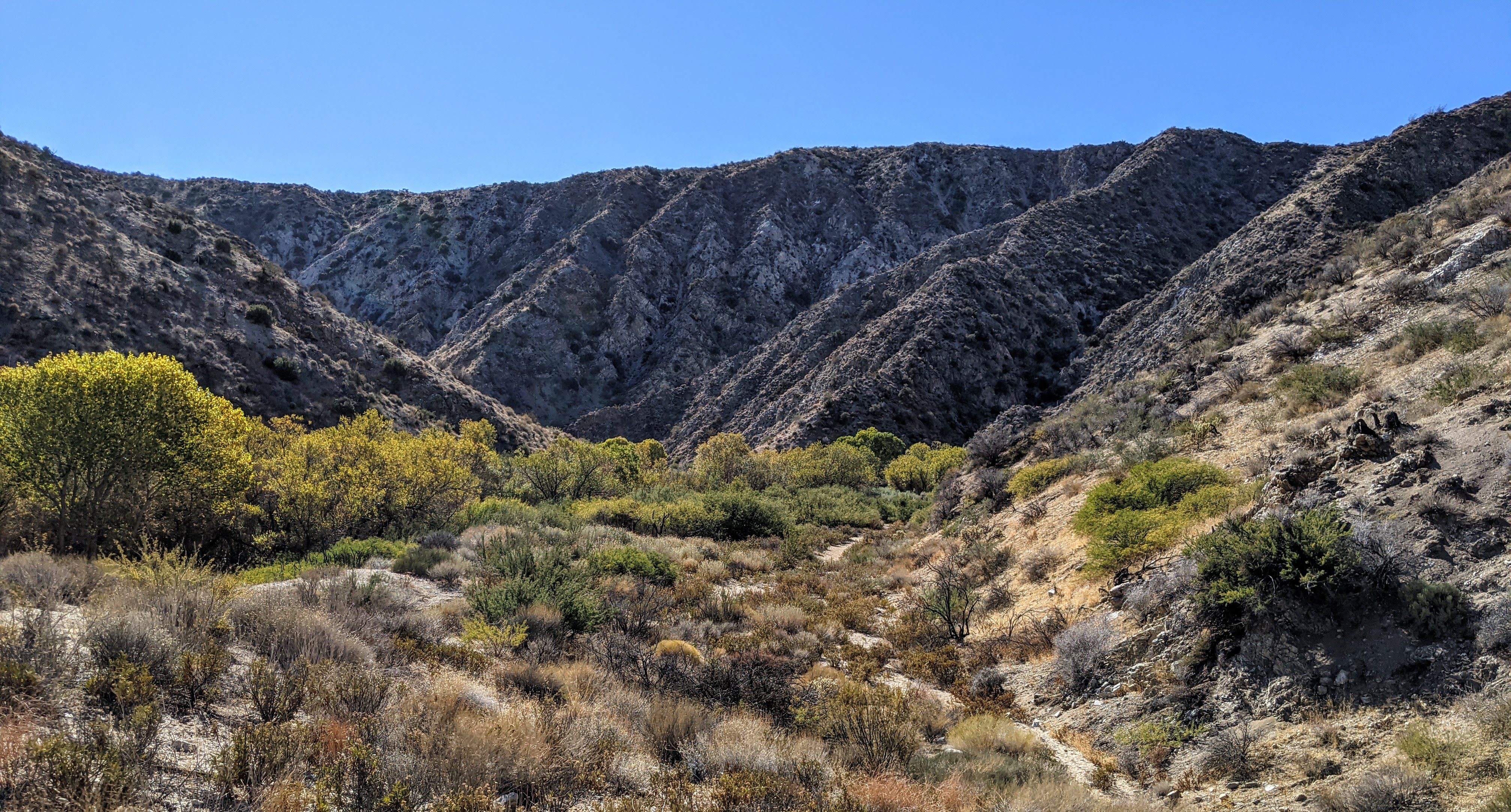 Big Morongo Canyon, view from the Canyon Trail of Big Morongo Canyon Preserve, near Morongo Valley, California