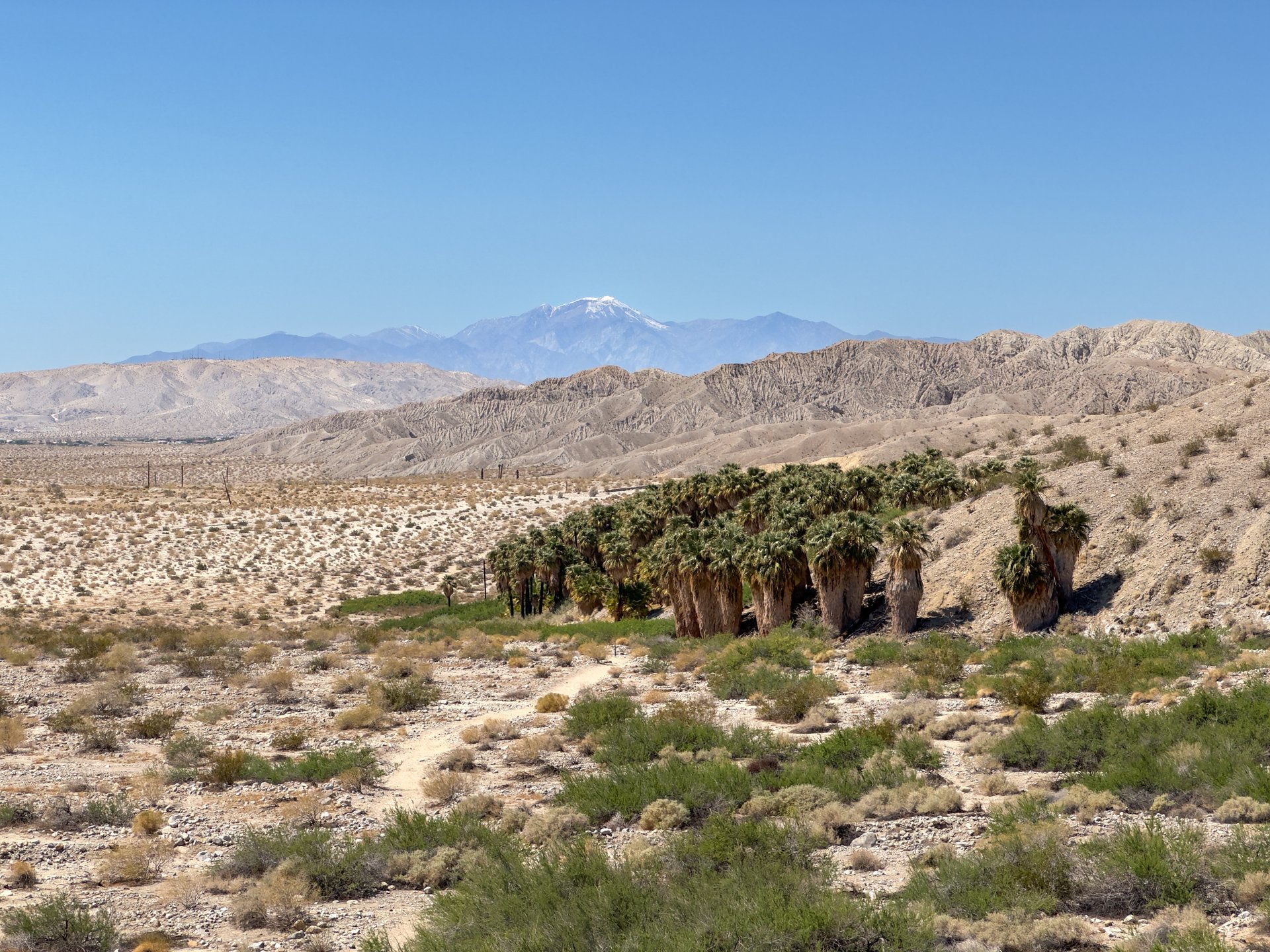 Indio Hills, California Fan Palm Oasis, and San Gorgonio Mountain. Image taken in Coachella Valley Preserve. This image was captured in the Upper Coachella Valley and Hills EPA Level IV Ecoregion (81e) and faces the Southern California Mountains EPA Level III Ecoregion (8). In One Earth's ecoregion framework, this image captures the Sonoran Desert Ecoregion, with the California Montane Chaparral and Woodlands Ecoregion occurring on the San Bernardino Mountains seen in the distance.