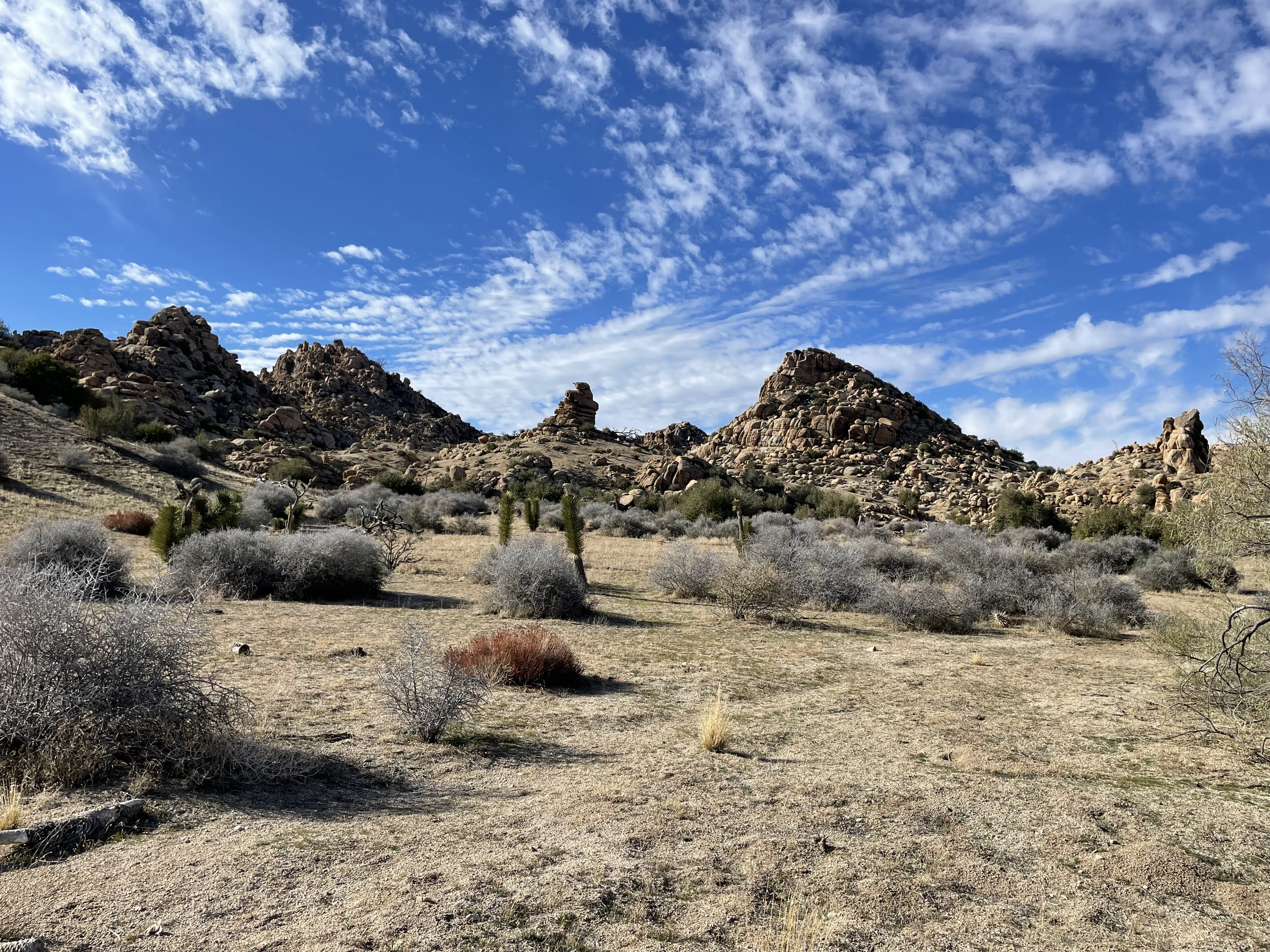 A view of the Sawtooth rock formations and surrounding desert landscape at Pioneertown Mountains Preserve, managed by The Wildlands Conservancy.