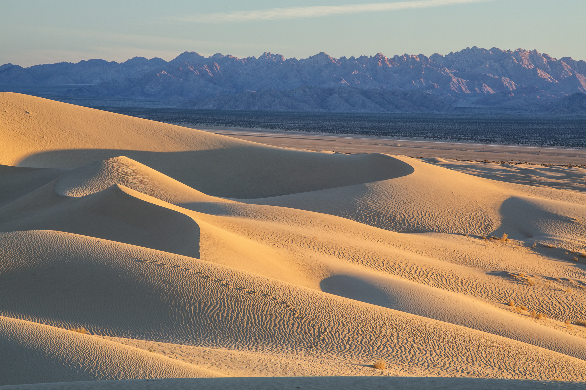 The 19,935 acre Cadiz Dunes Wilderness encompasses a major portion of the Cadiz Dune system and desert shrub lowlands just east of the dunes. These small dunes were formed by north winds pushing sands off the Cadiz Dry Lake.  The pristine nature of the dunes and the beautiful spring display of unique dune plants have made the area a favorite for photographers. Wildlife tracks provide evidence of including coyote, black-tailed jackrabbits, kangaroo rats, quail and roadrunners, rattlesnakes, and several species of lizards. 

Photo by Bob Wick, BLM