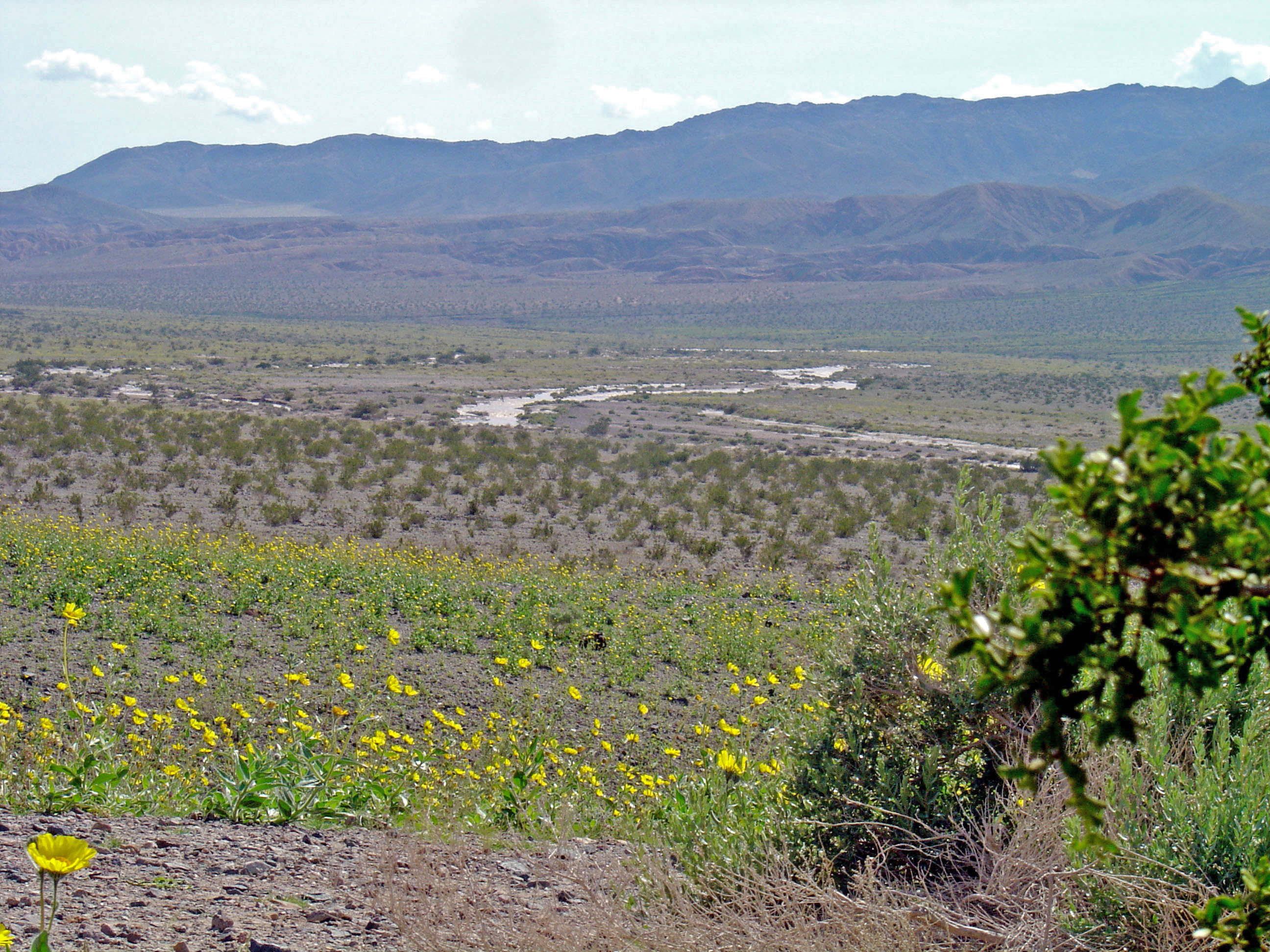 The Amargosa River near Shoreline Butte — entering southern Death Valley from the Amargosa Desert, in eastern California