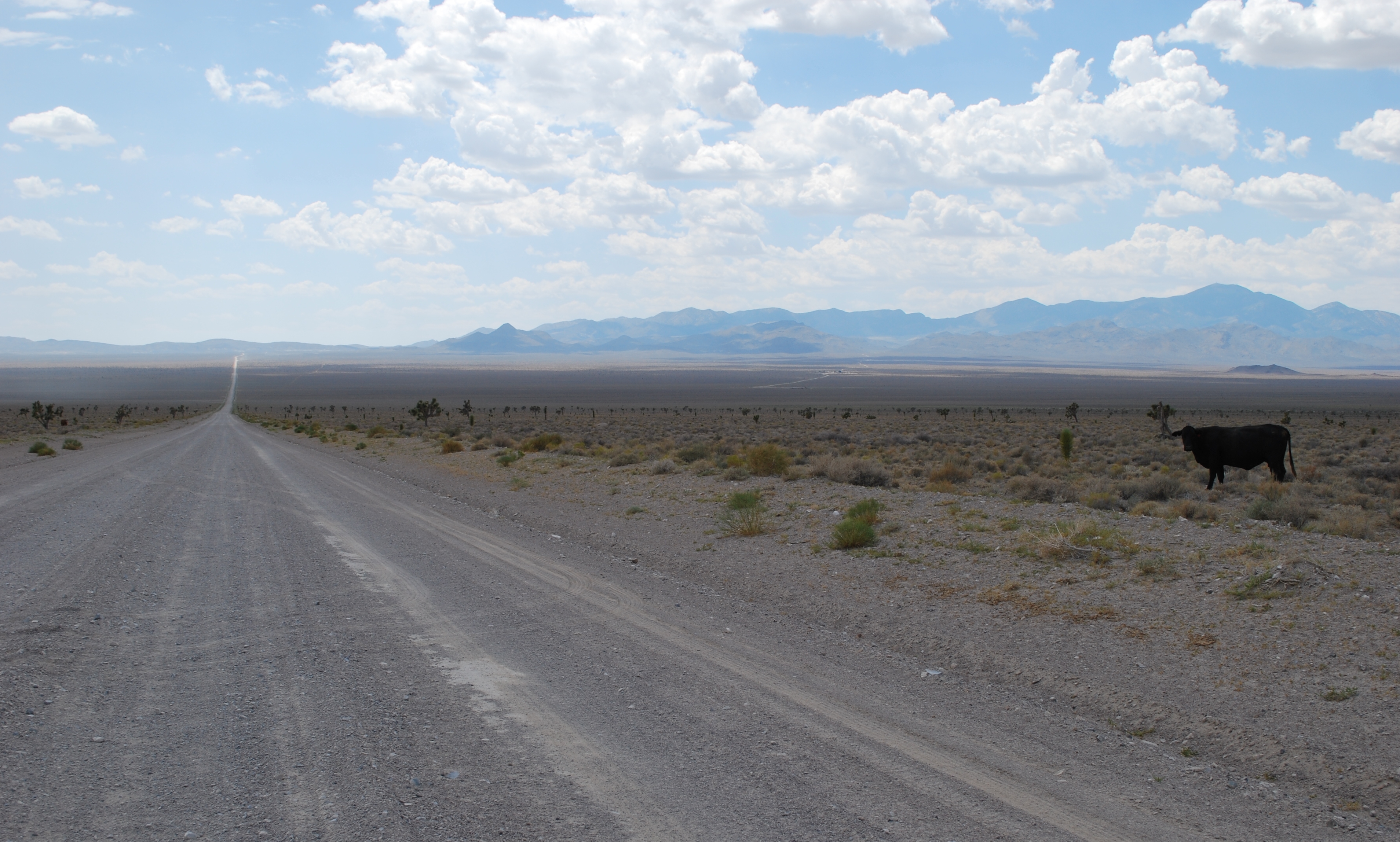 Groom_Lake_Road
