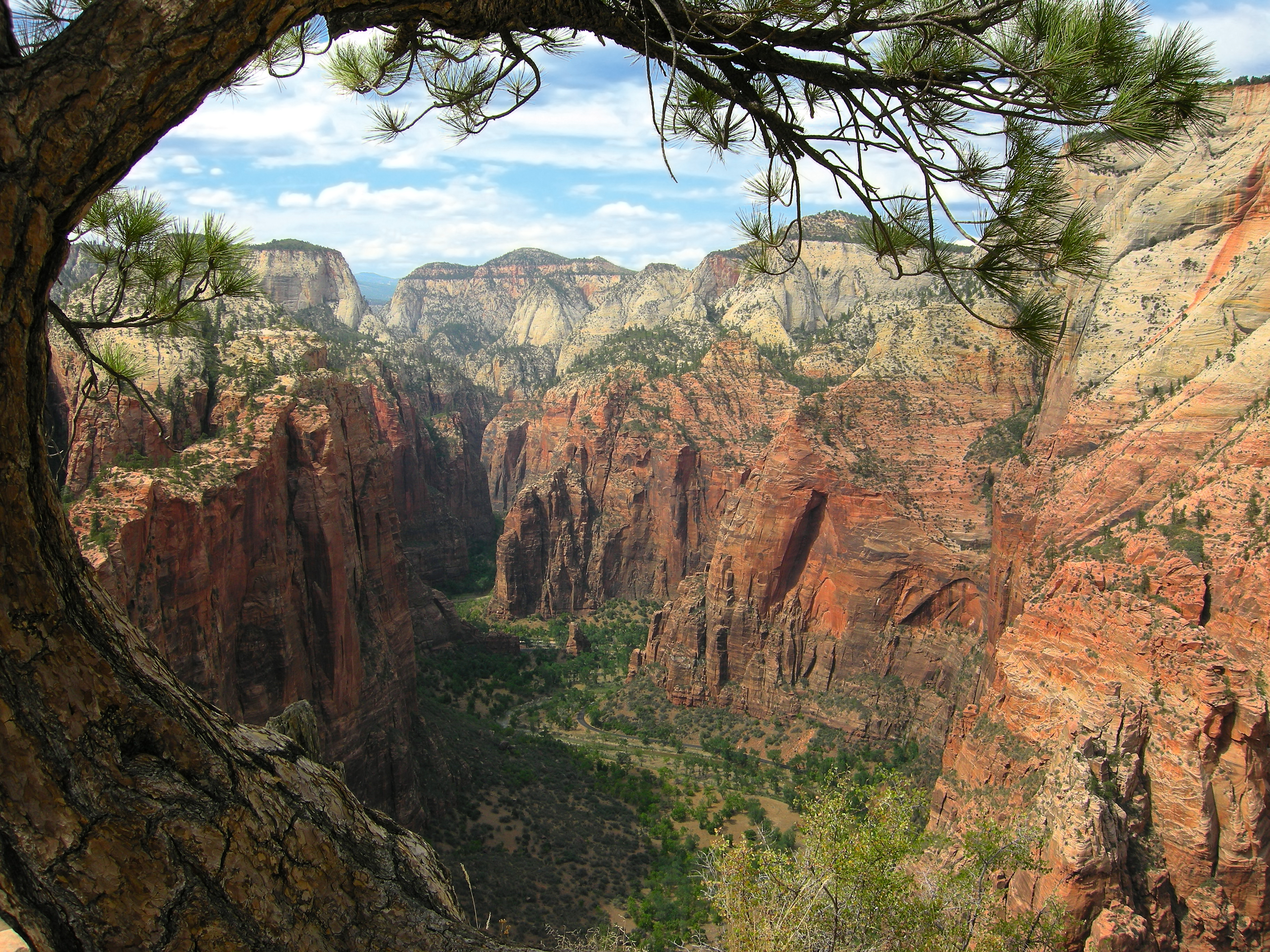 breathtaking view from the Angels Landing trail looking northward to the Narrows, Zion National Park, Utah, USA.