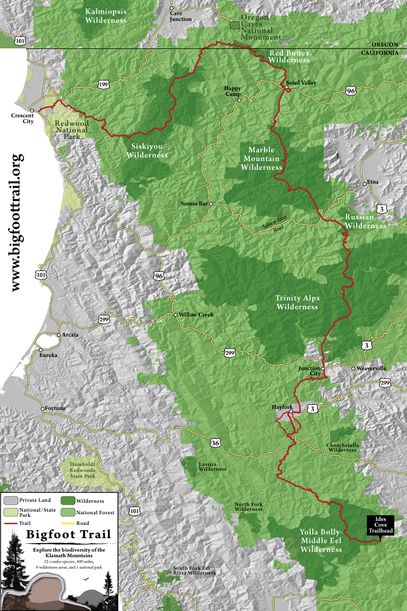 The proposed route to see 32 conifers of the Klamath Mountain Region along the Bigfoot Trail