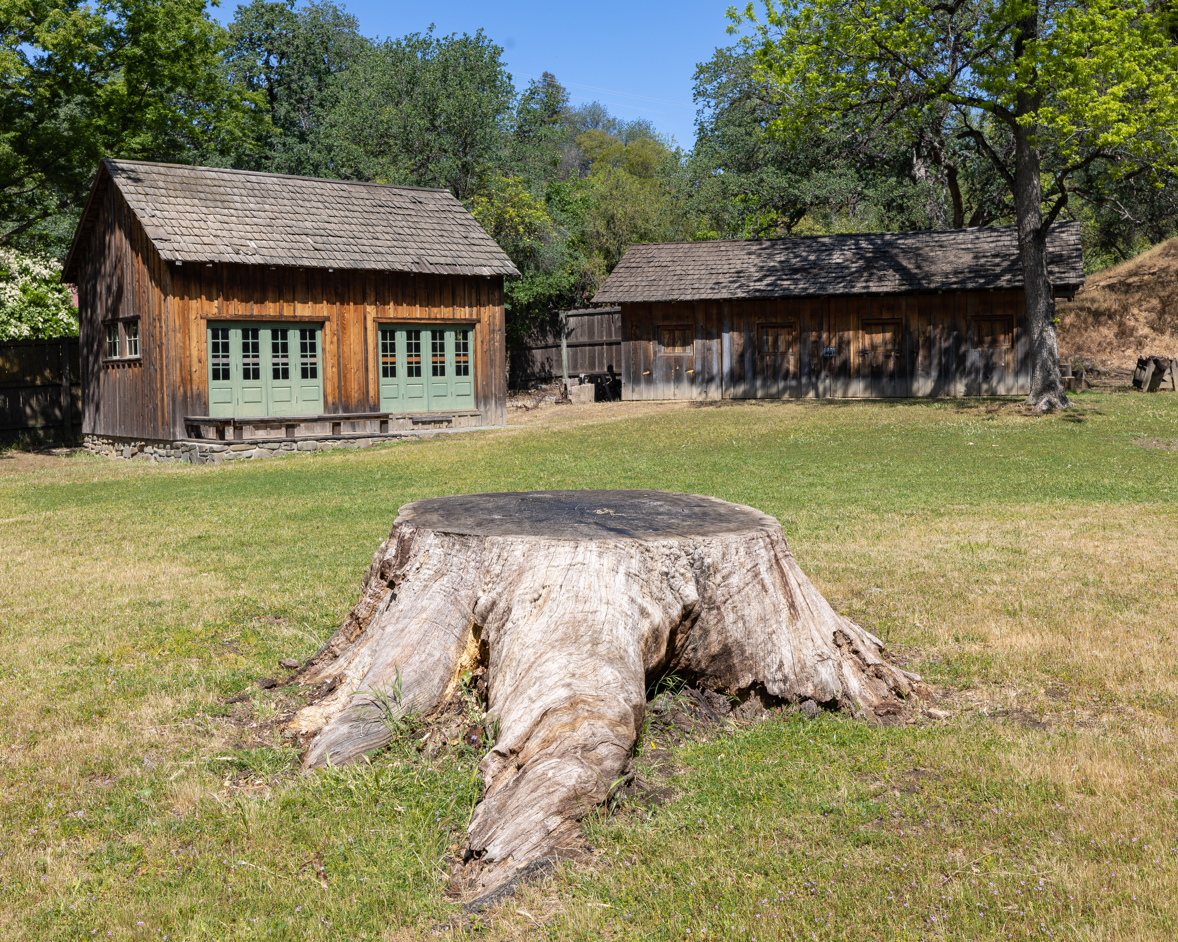 William B. Ide Adobe State Historic Park in April 2022: replica of a woodshop / school, blacksmith shop, and the stump of the valley oak tree that once stood in front of the adobe and was felled in 2016 after storm damage.