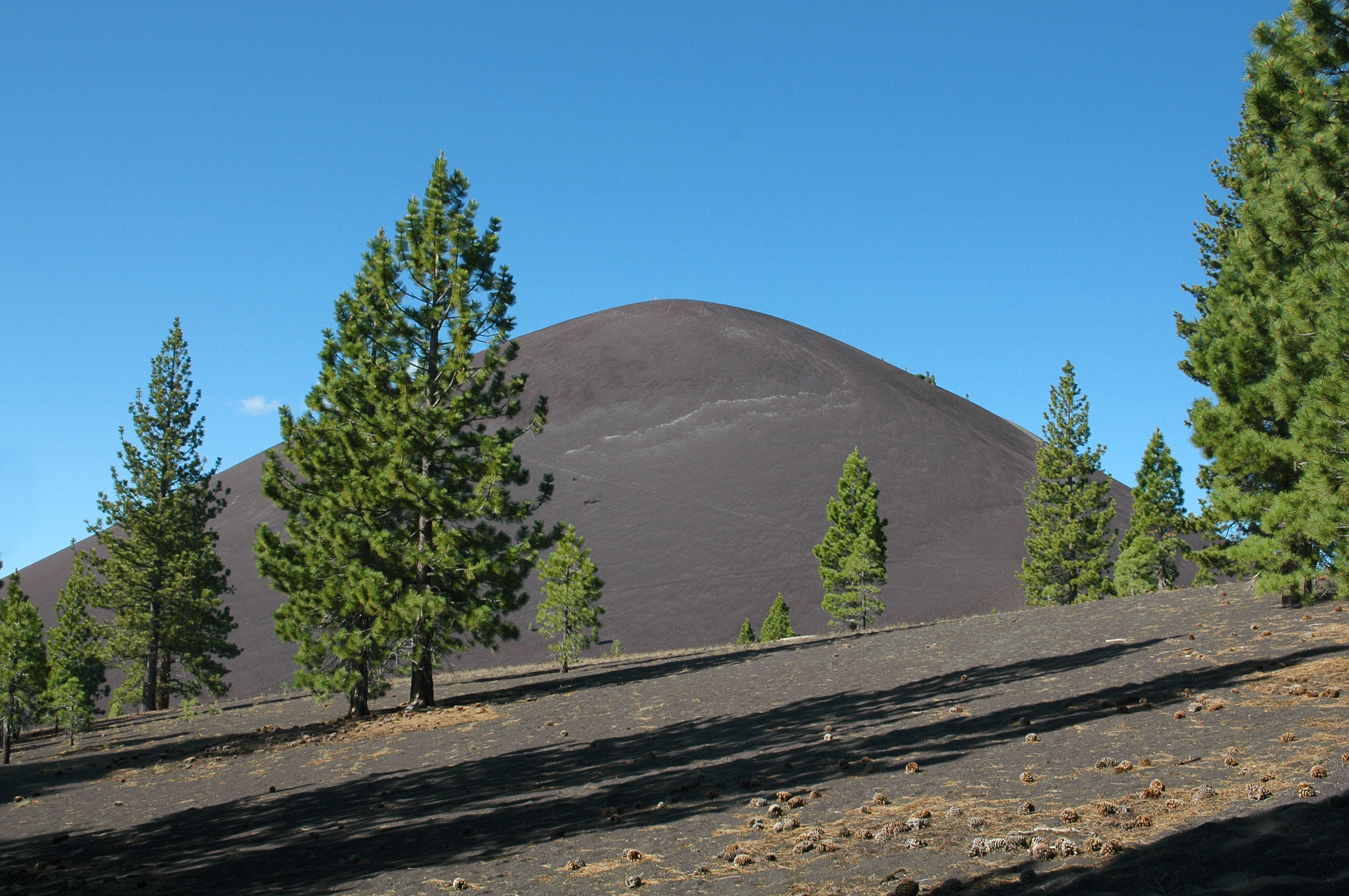 View of Cinder Cone, Lassen Volcanic National Park, California, from the Cinder Cone Trail that leads to it. The trees surrounding the volcano, are Jeffrey Pines Pinus jeffreyi.