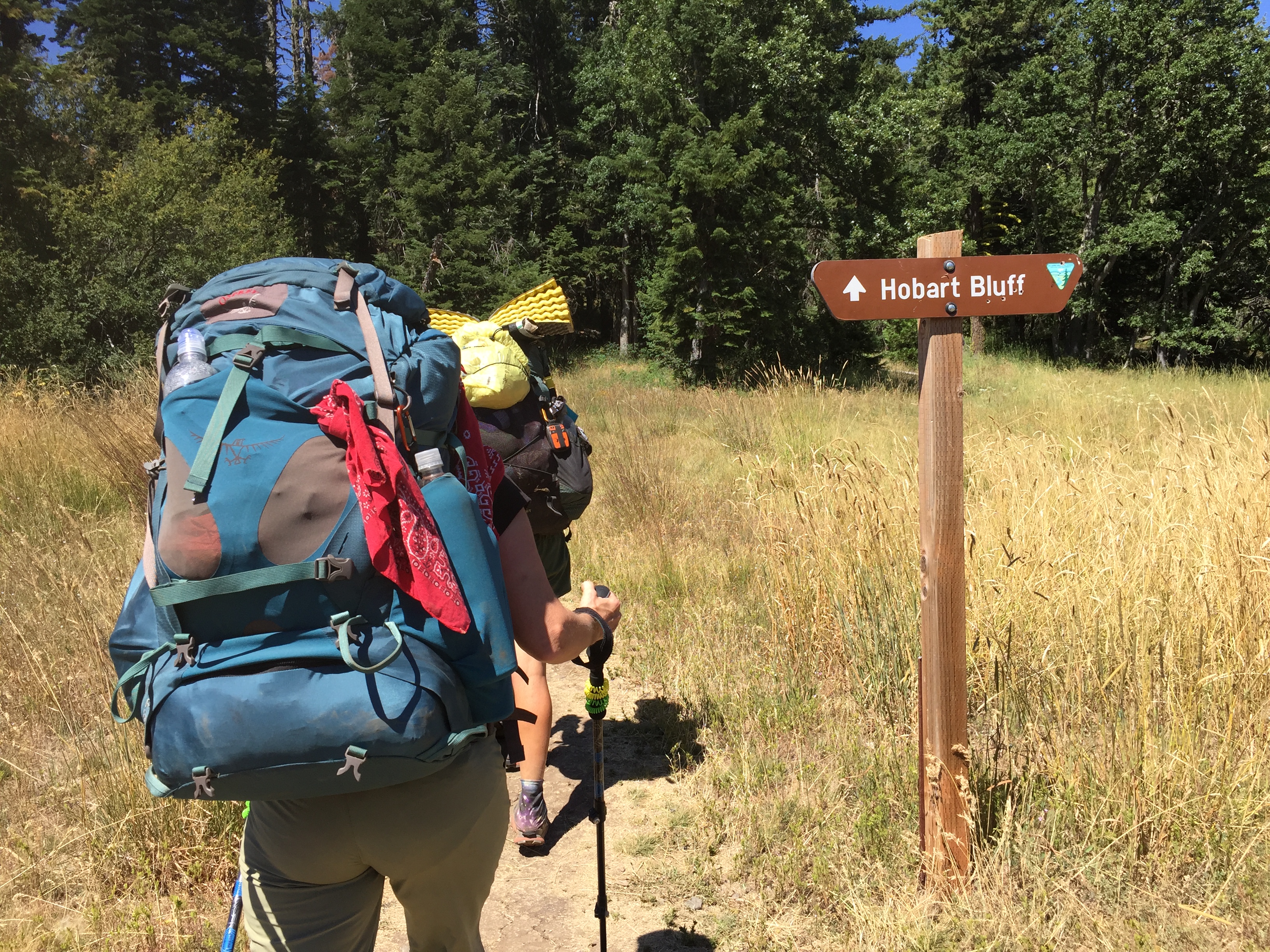 Hobart Bluff is part if the spectacular Cascade-Siskiyou National Monument.
Located at the crossroads of the Cascade, Klamath, and Siskiyou mountain ranges, scientists have long recognized the outstanding ecological values of the Cascade-Siskiyou National Monument (CSNM). The convergence of three geologically distinct mountain ranges resulted in an area with remarkable biological diversity and a tremendously varied landscape. Many archaeological and historical sites are also found throughout the CSNM, providing clues to Native American use of the area and tracing portions of the historic Oregon/California Trail.  One of the easiest ways to experience this unique landscape include hiking the Pacific Crest National Scenic Trail which meanders some 19 miles through the Monument or reserving a campsite at the Monument's Hyatt Lake Recreation Area.  The Pacific Crest Trail also traverses right alongside Hobart Bluff!
The Monument consists of approximately 62,000 acres of BLM-administered land in rugged Southwestern Oregon. Privately owned land is often adjacent to public land in the CSNM. Please respect the rights of private property owners and stay on public land when visiting the Monument.

To get to Hobart Bluff take I-5 Exit 14 to Greensprings Highway (66) to Soda Mountain Rd. - 15 miles. Turn right onto Soda Mountain Road (39- 3E-32.3), drive 3.8 miles to junction of power line, PCT, and Soda Mountain Rd. Trail goes north to Hobart Bluff. Trail length: 3 Miles (to top of bluff and back).