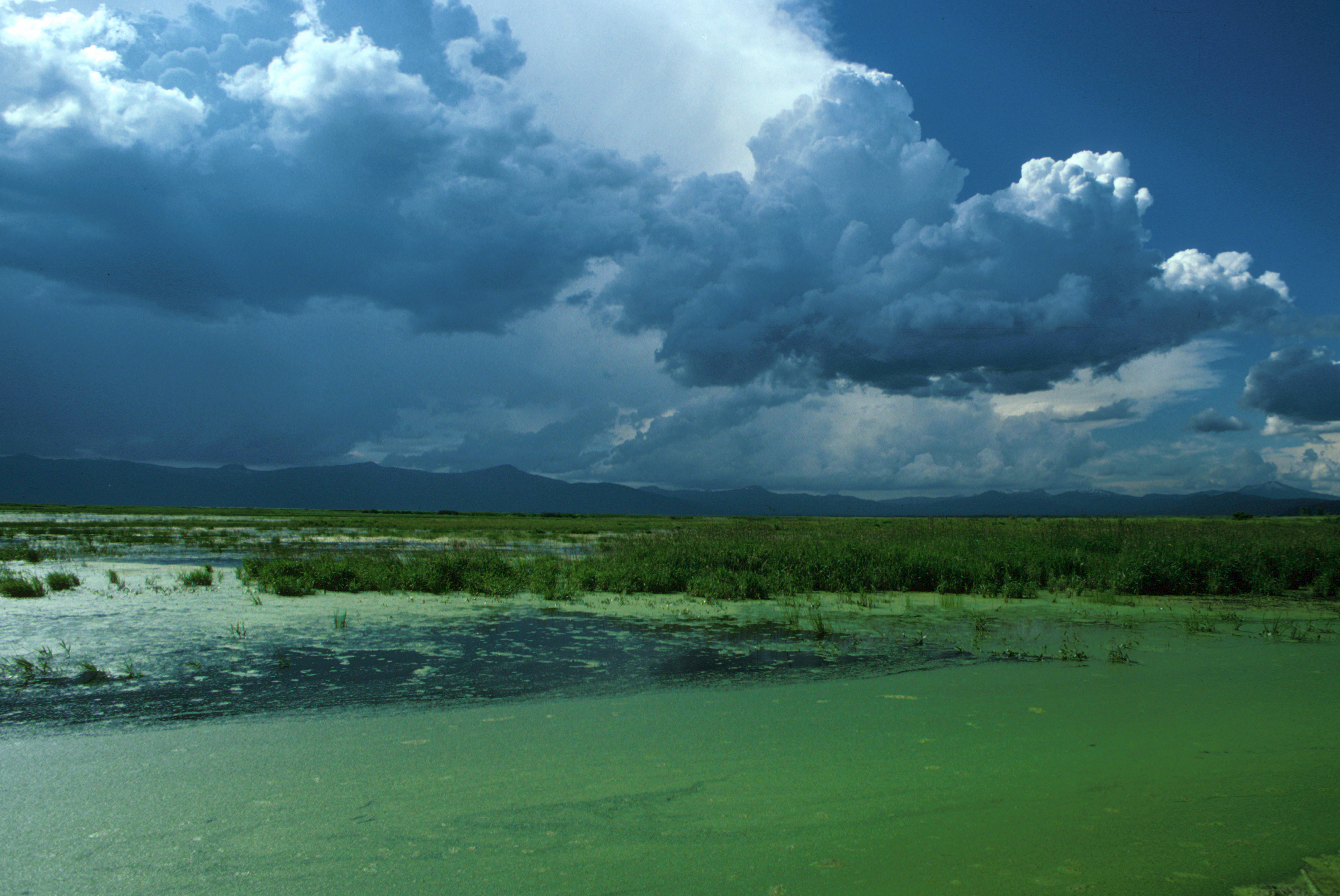 The landscape of the Klamath Basin, the watershed of the Klamath River in southern Oregon and northern California