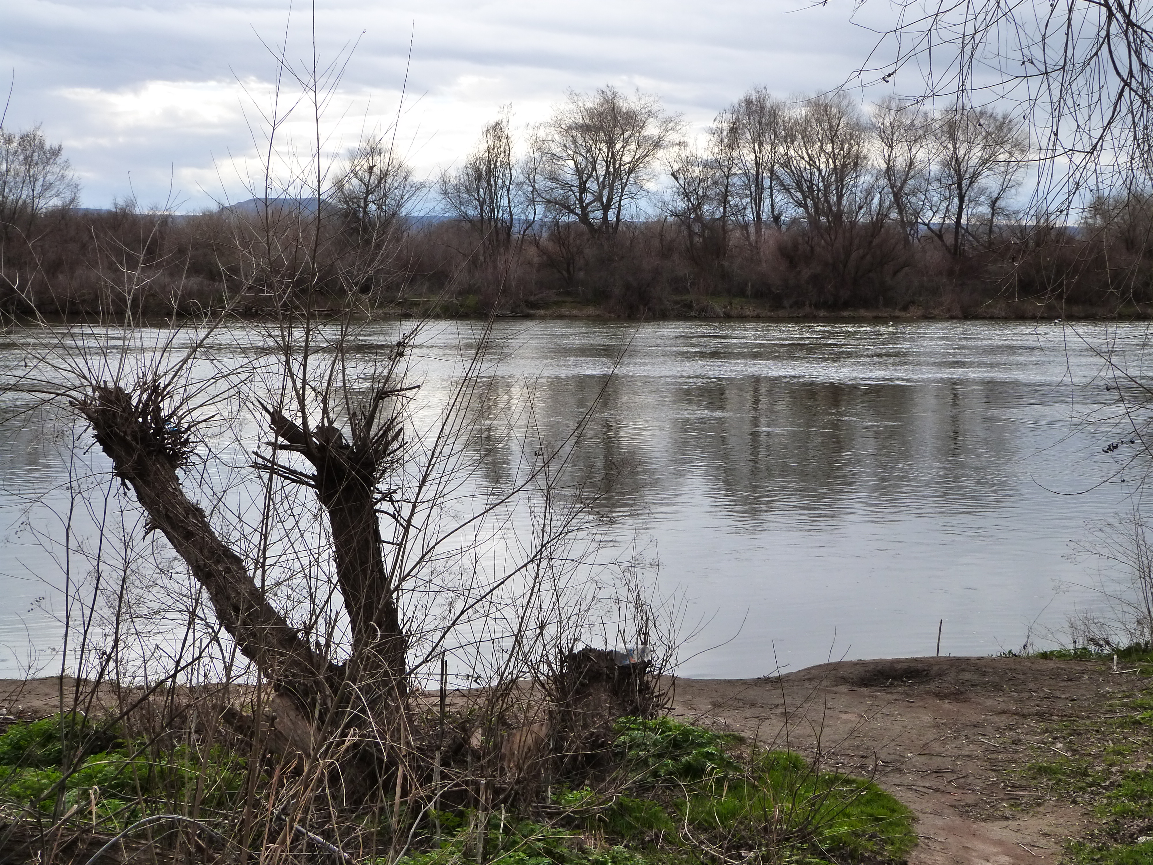 View over the Snake River at the location indicated by the monument depicted at File:HBC Fort Boise monument - Canyon County Idaho.jpg. The monument marks the site of Hudson's Bay Company Fort Boise in Fort Boise Wildlife Management Area, Canyon County, Idaho, United States. The river is believed to have destroyed most or all of the fort site.