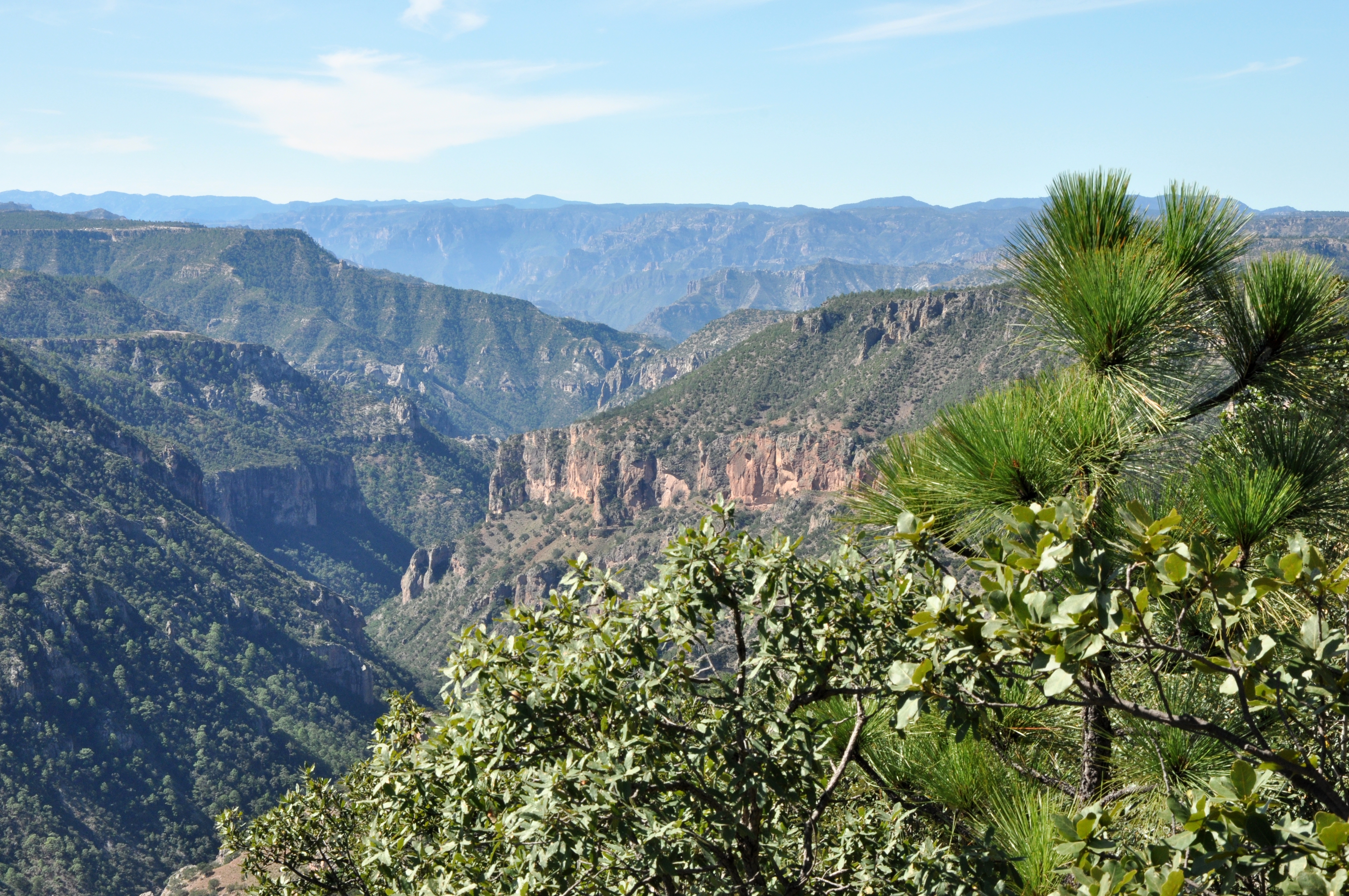 Sierra Madre Occidental, looking across Rio San Ignacio from near the village of Guajurana.  Ignimbrites units of the Divisadero tuff unit, each formed by a single very large volcanic eruption, form the plateau and the visible layers.