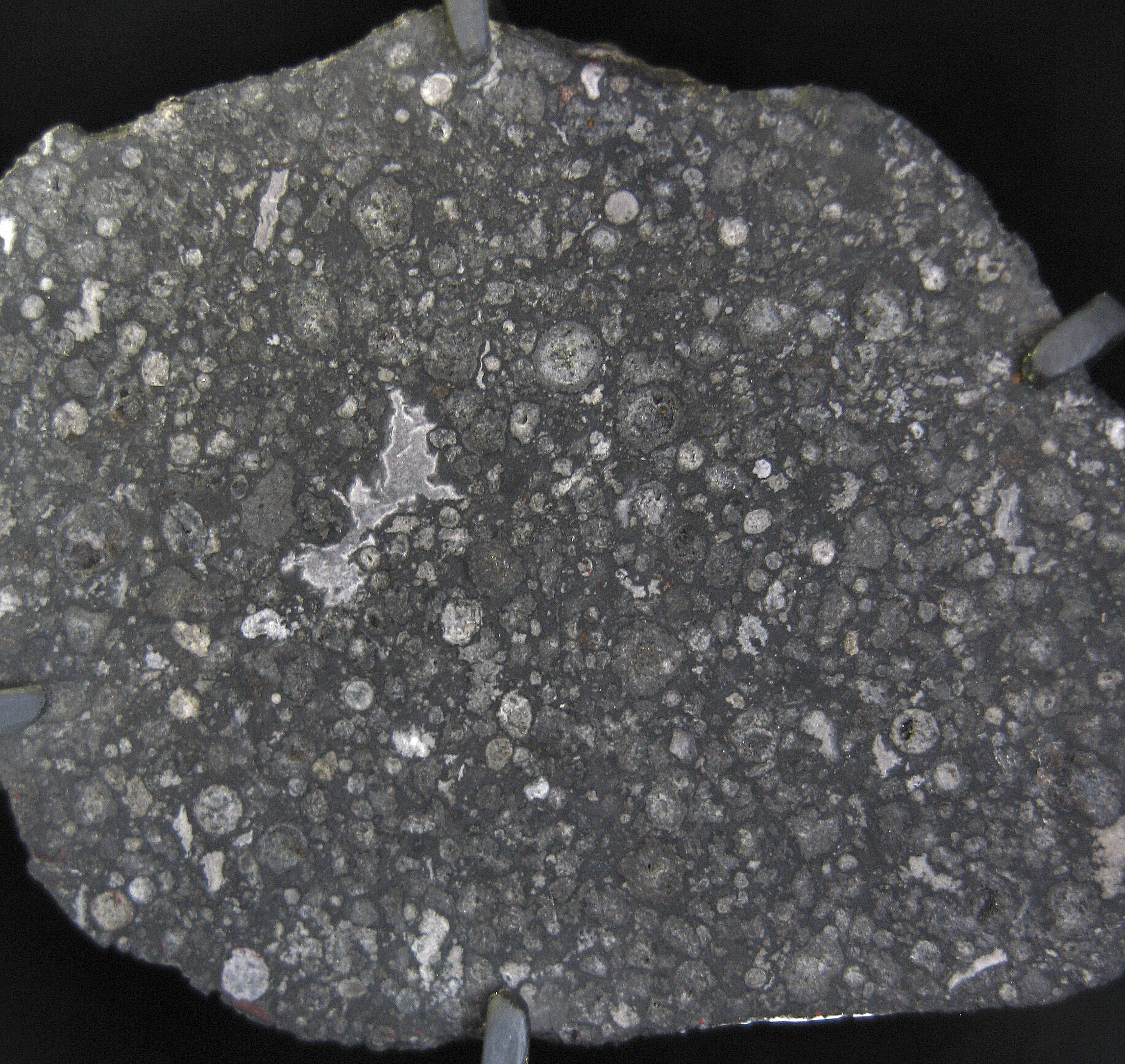 A slice from the 4.5-billion-year-old Allende meteorite. This rock was formed along with the solar system.