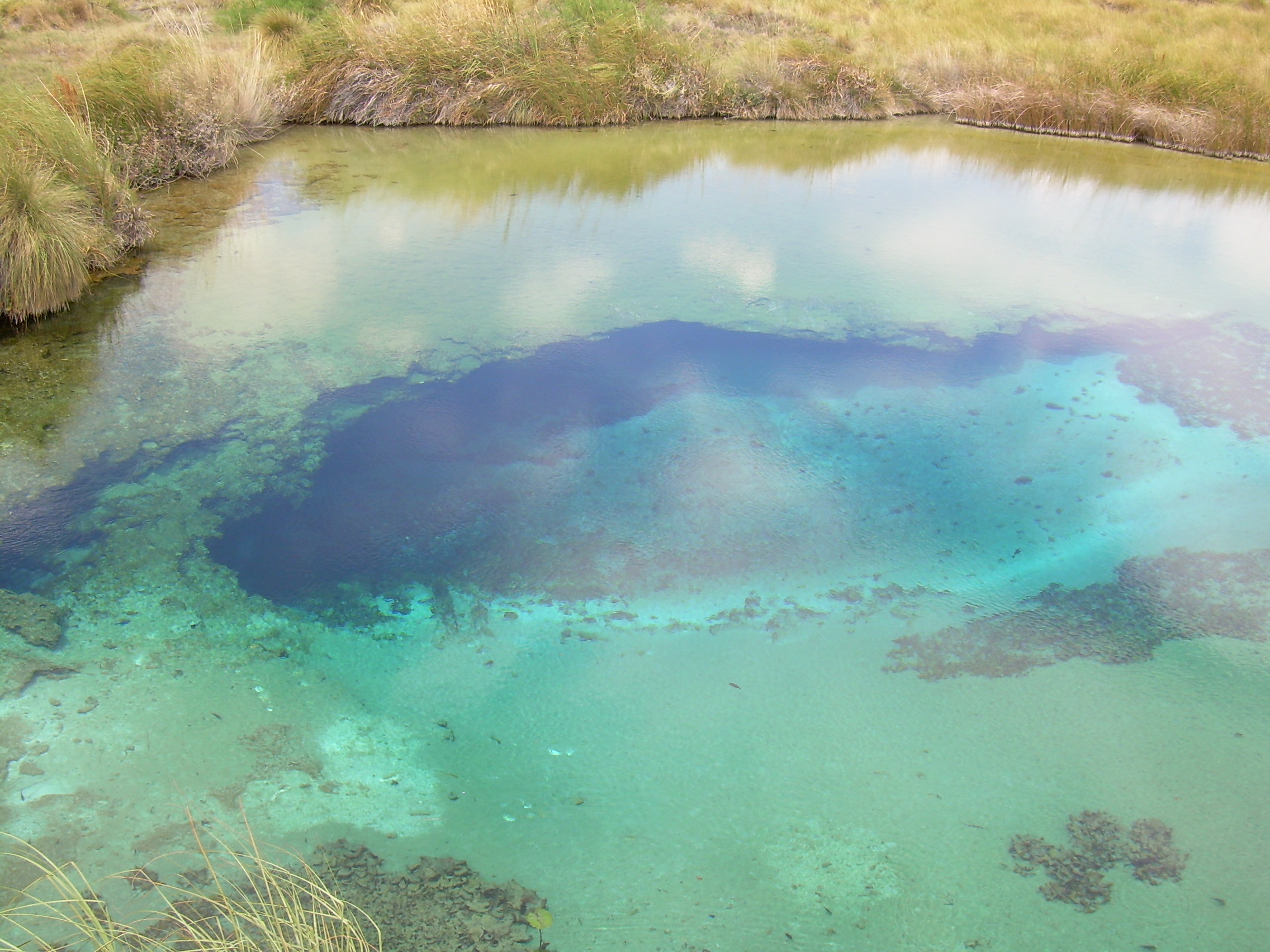 La Poza Azul in Cuatro Ciénegas, Coahuila, Mexico.