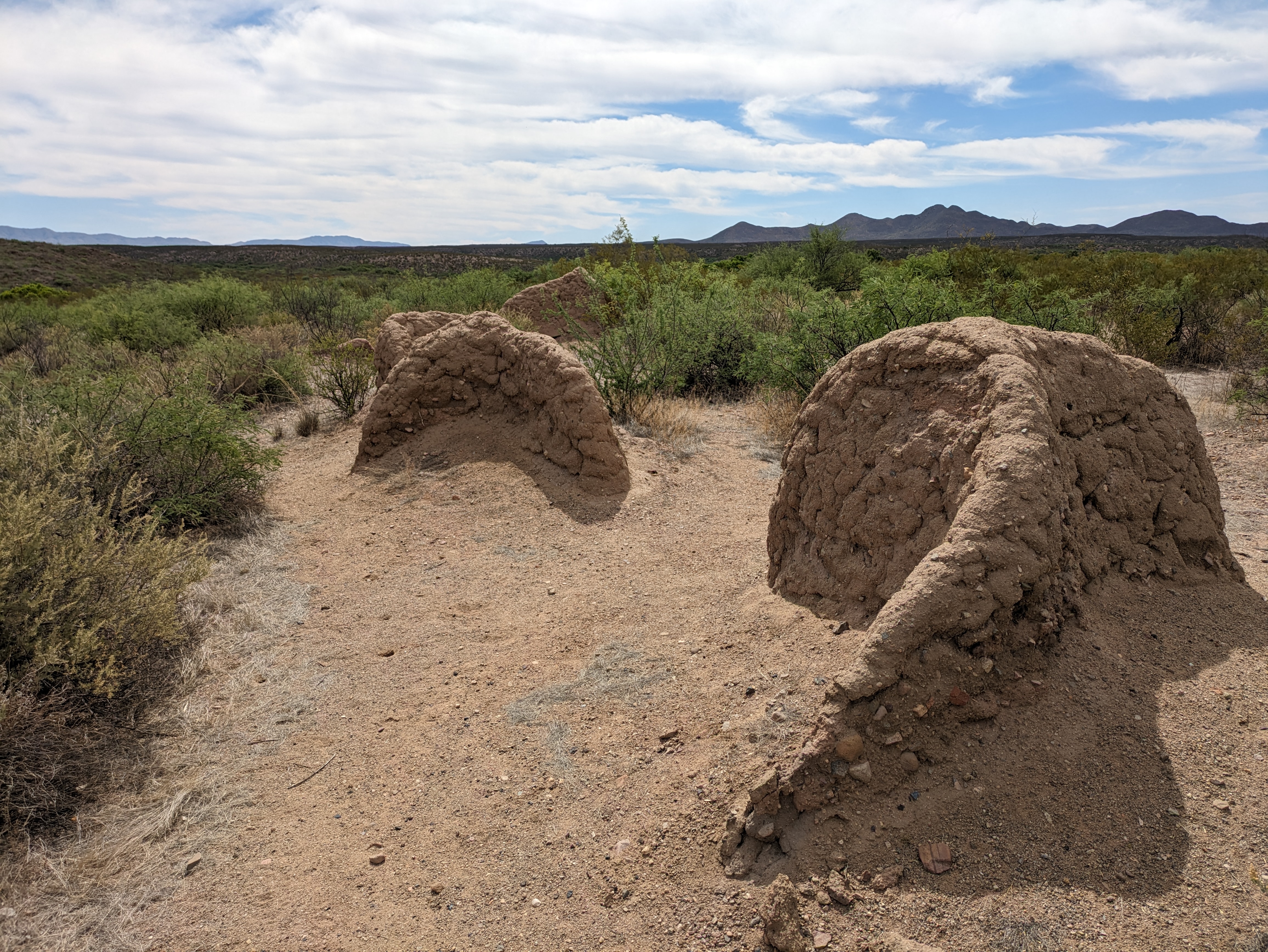 Presidio Santa Cruz de Terrenate is located within the San Pedro Riparian National Conservation Area.
Photo by the Bureau of Land Management Arizona.