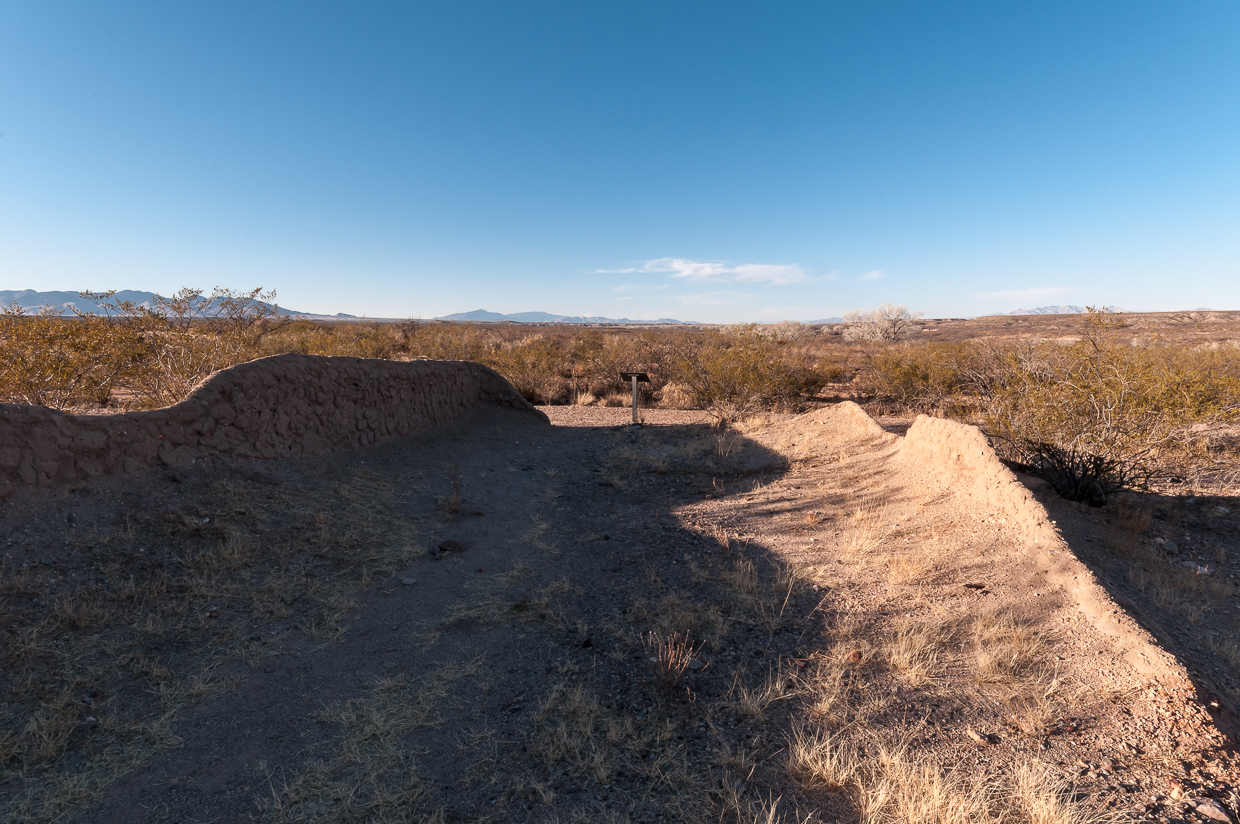 San Pedro Riparian National Conservation Area, Cochise County, Arizona.