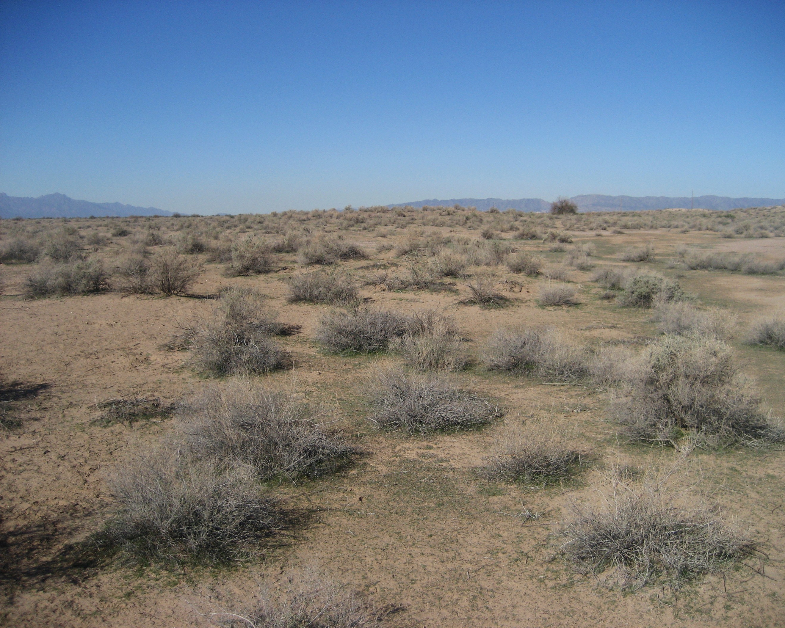 Hohokam Pima National Monument — a Hohokam cultural site, in Pinal County, Arizona.
Currently closed to the public.