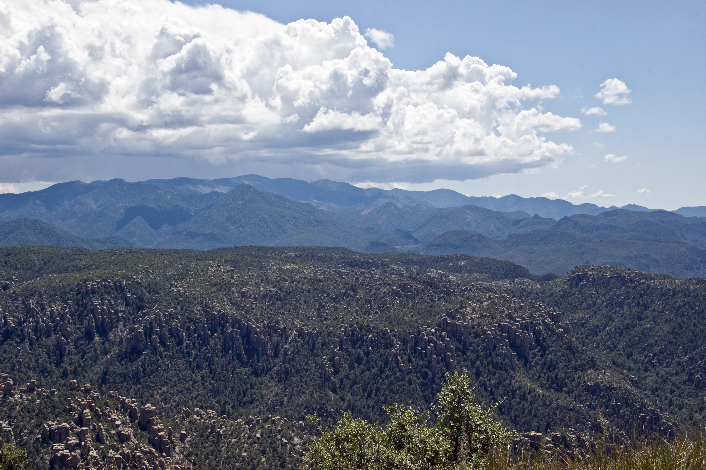 In the foreground are the hoodoos of the Chiricahua Natinal Monument (see below for another view of these geological structures). 
In the distance is the caldera of the Turkey Creek volcano, which erupted 27 million years ago.

An information placque says, "The eruption of the Turkey Creek Caldera was 1,000 times greater than the 1980 eruption of Mt. St. Helens. It spewed more than 100 cubic miles of magma, in the form of incandescent ash and pumice, into the atmosphere and buried a region of at least 1,200 square miles. This thick blanket of ash and pumice fusd to form the rhyolite tuff we see today. Tn places it is 2,000 feet thick. The ash clouds circled the globe, affecting weather for years afterward.