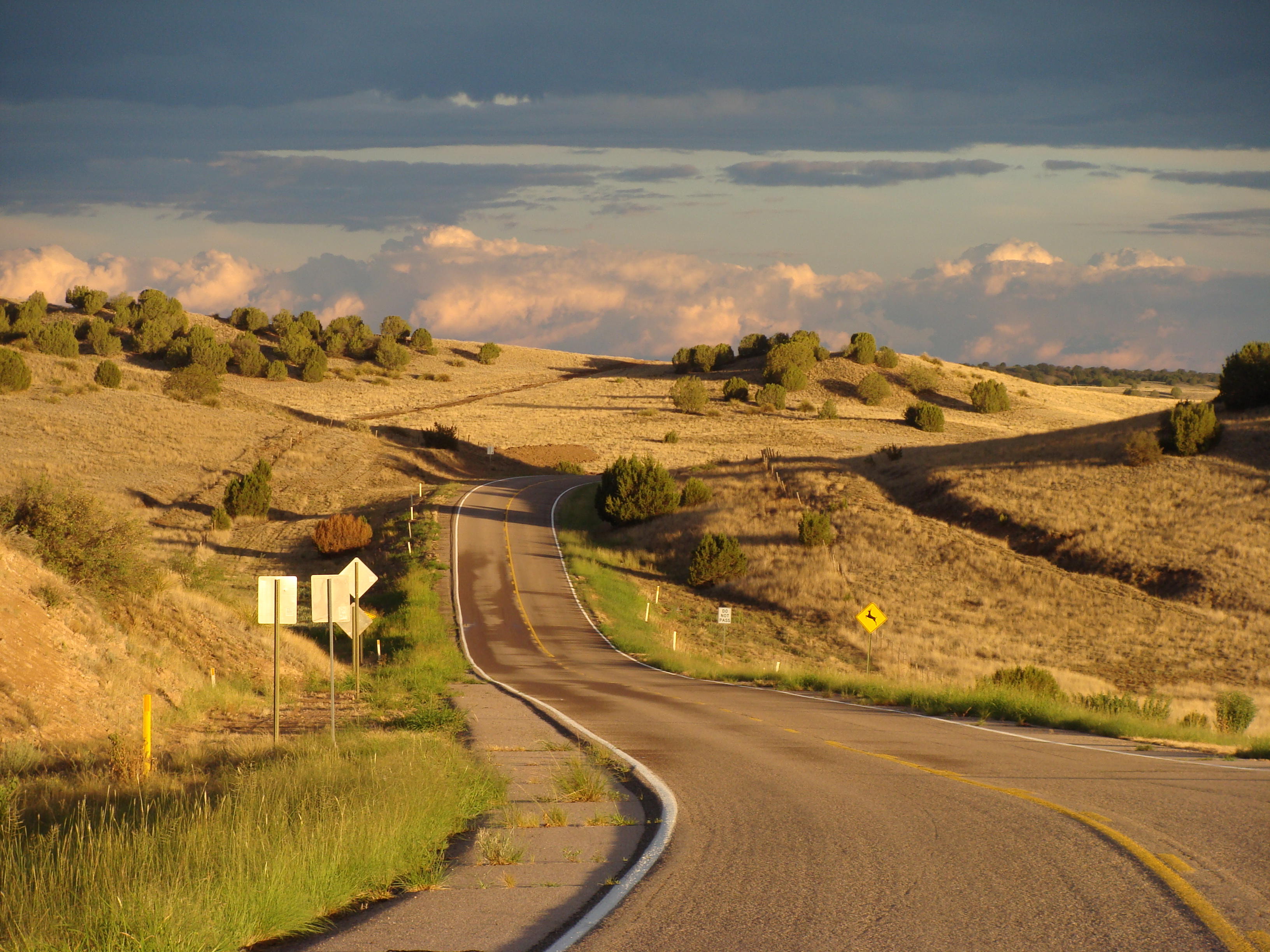 Hwy 180, west of Silver City, New Mexico. It was after a rainfall.