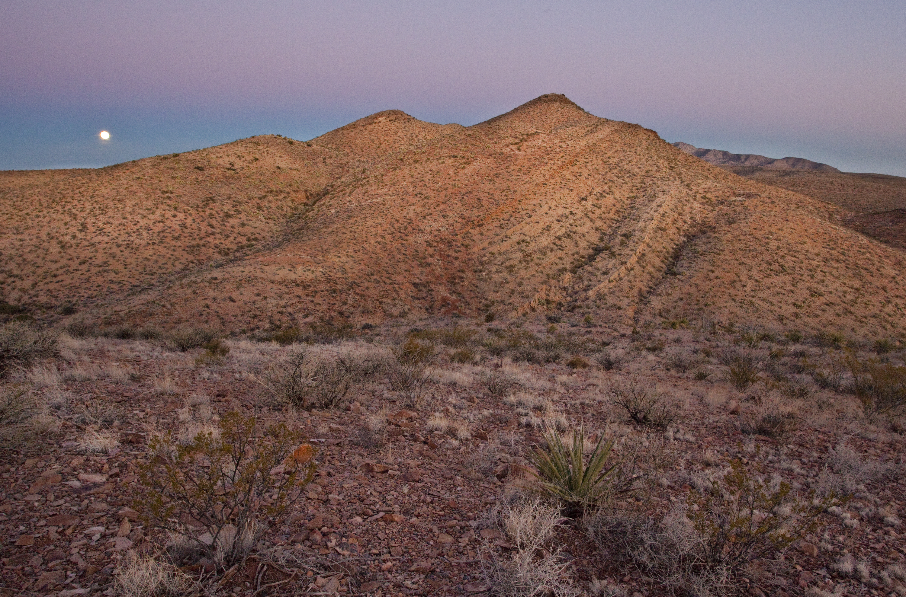 conservationlands15 Social Media Takeover, March 15th
Our #conservationlands15 celebration continues with dinosaur finds on the BLM’s National Conservation Lands.  Check out the Prehistoric Trackways National Monument just outside of Las Cruces, New Mexico, as a preview of cool things to come.  The Monument includes a major deposit of Paleozoic Era fossilized footprint mega-trackways from a time that predates even the dinosaurs.
The trackways contain footprints of numerous amphibians, reptiles, and insects (including previously unknown species) as well as plants and petrified wood dating back 280 million years. These fossils collectively provide new opportunities to understand animal behaviors and environments. The site contains one of the most scientifically significant Early Permian track sites in the world. Visitors can view trackways displays at the New Mexico Museum of Natural History in Albuquerque.
And any trip to the Prehistoric Trackways and Las Cruces area should include the must-see Organ Mountains-Desert Peaks National Monument, just a stone’s throw away from across the Rio Grande Valley, and one of New Mexico’s most breathtaking landscapes. The area offers hiking, camping, rock climbing and nature study right in the back yard of the community.

Photos by Bob Wick, BLM
