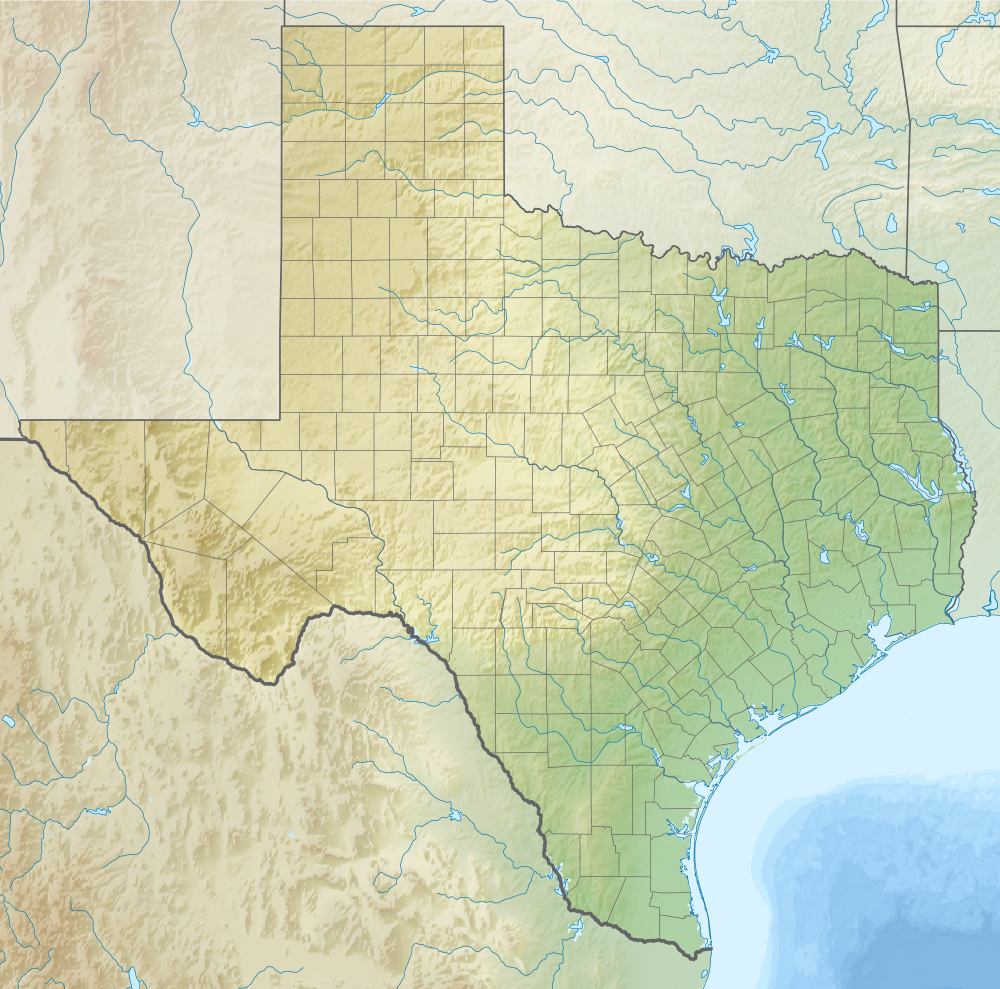 Relief map of Texas (USA).