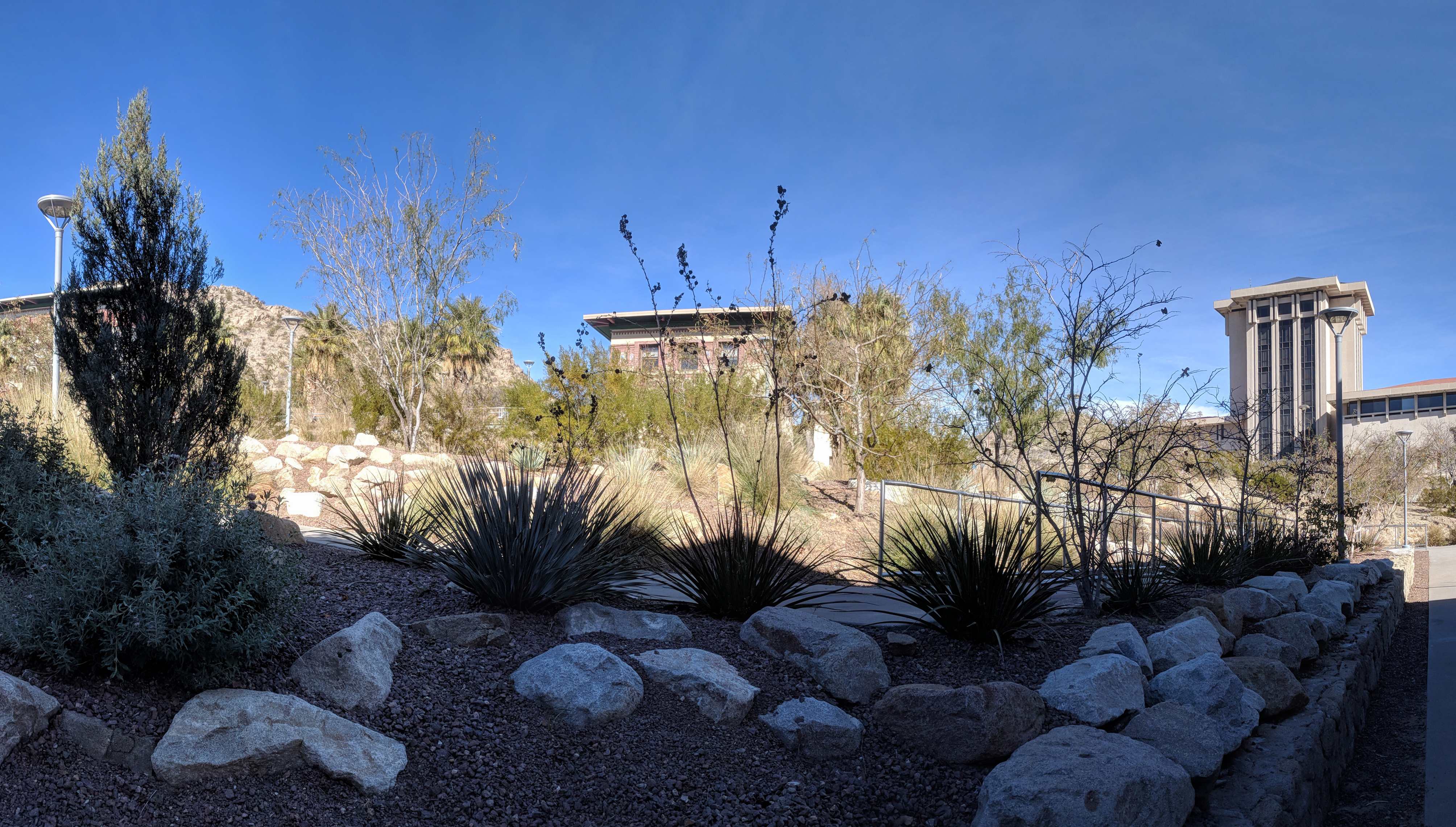 A portion of the campus of the University of Texas at El Paso (UTEP).