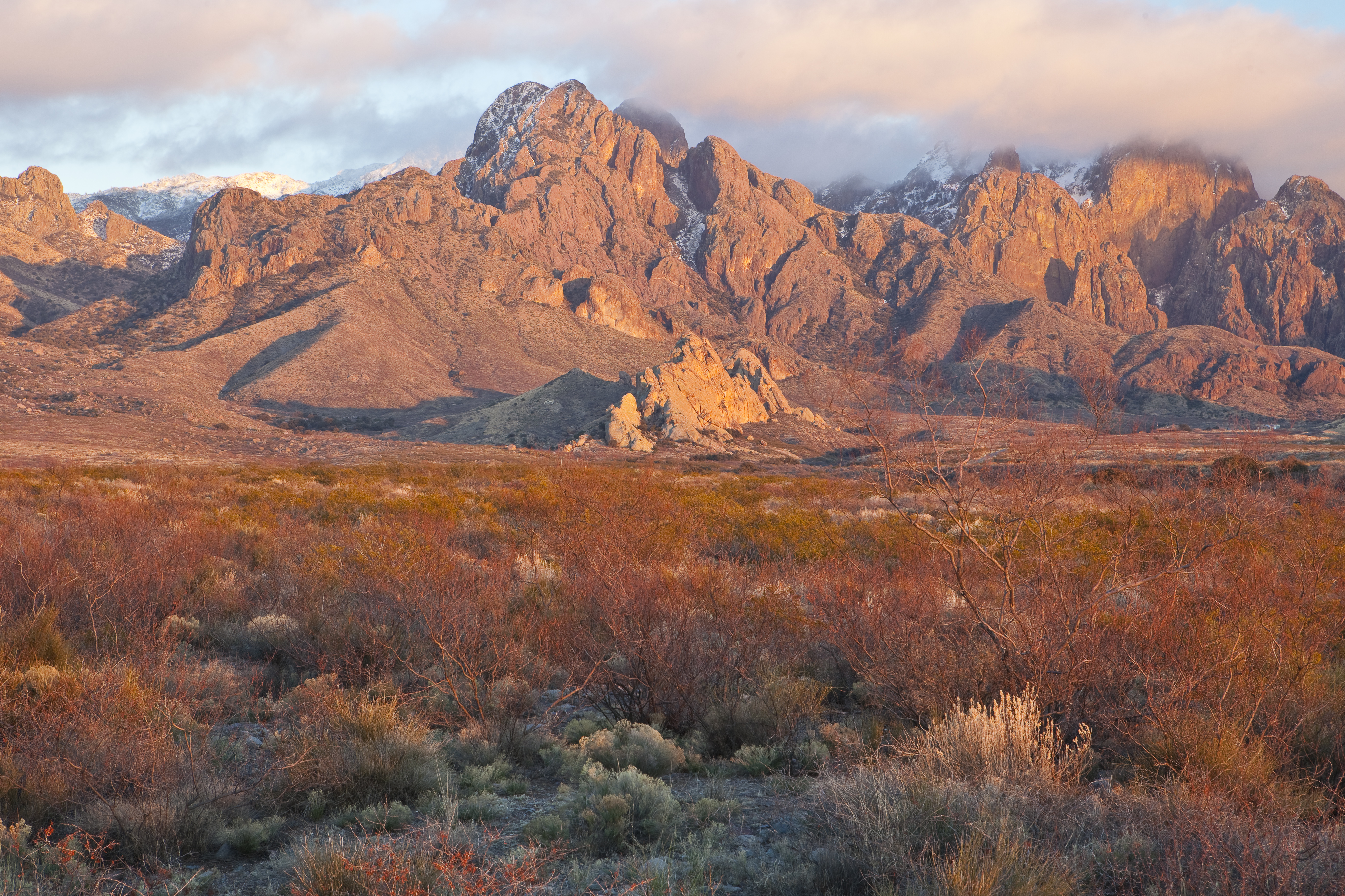 The Organ Mountains WSA is located in south-central New Mexico on the eastern edge of Las Cruces.  The Organ Mountains range from 4,600 to just over 9,000 feet, and are so named because of the steep, needle-like spires that resemble the pipes of an organ.  Alligator juniper, gray oak, mountain mahogany and sotol are the dominant plant species here, but in the upper elevations stands of ponderosa pine may be found.  Seasonal springs and streams occur in canyon bottoms, with a few perennial springs that support riparian habitats.  Wildlife includes desert mule deer, mountain lion, a variety of song birds, and a race of the Colorado chipmunk.  The WSA includes the Baylor Pass National Recreation Trail.  
Learn more: www.blm.gov/nm/st/en/prog/wilderness/wilderness_study_are...

Photo: Bob Wick, BLM California