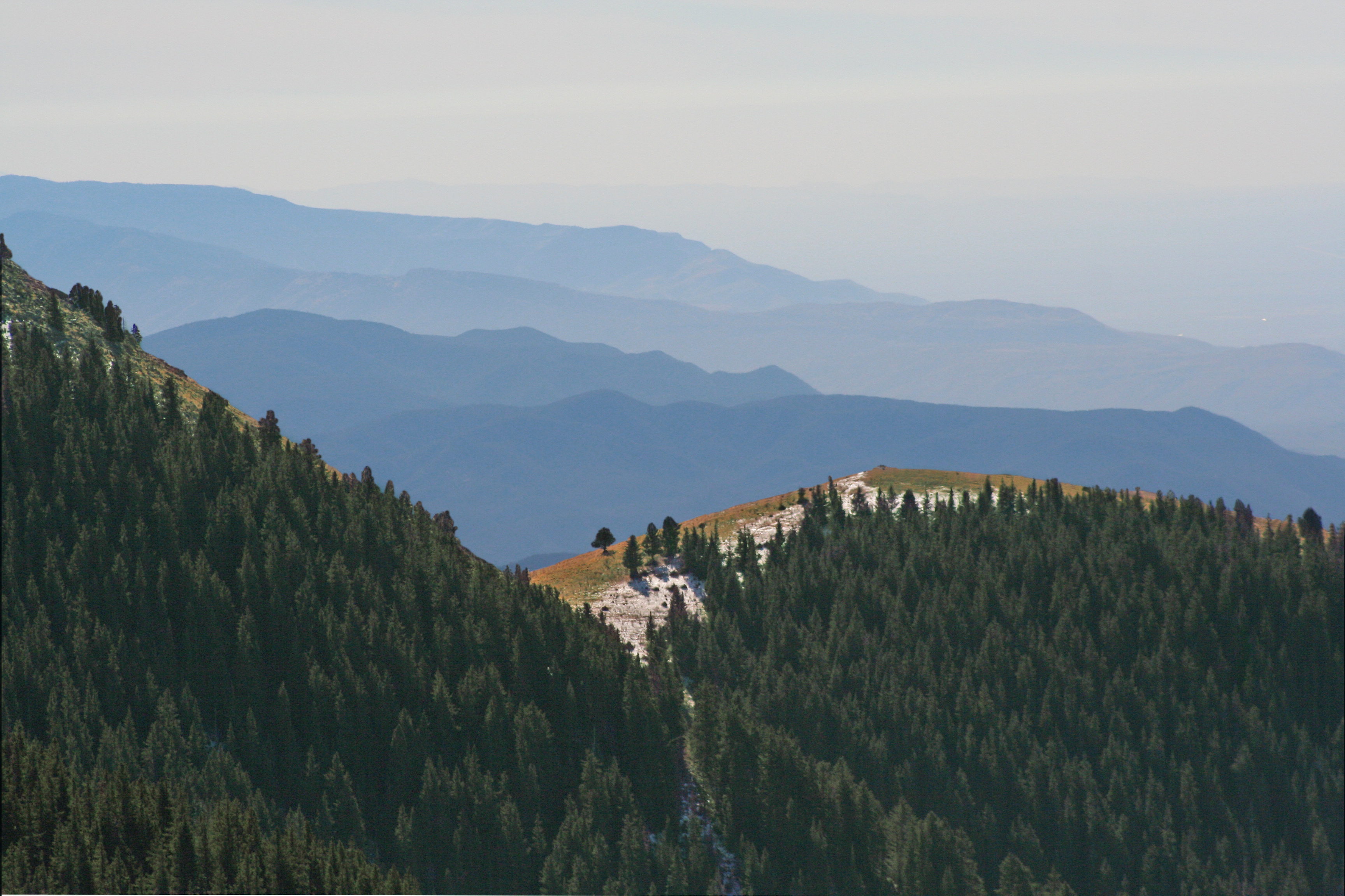 A view from the Sacramento Mountains in New Mexico, United States